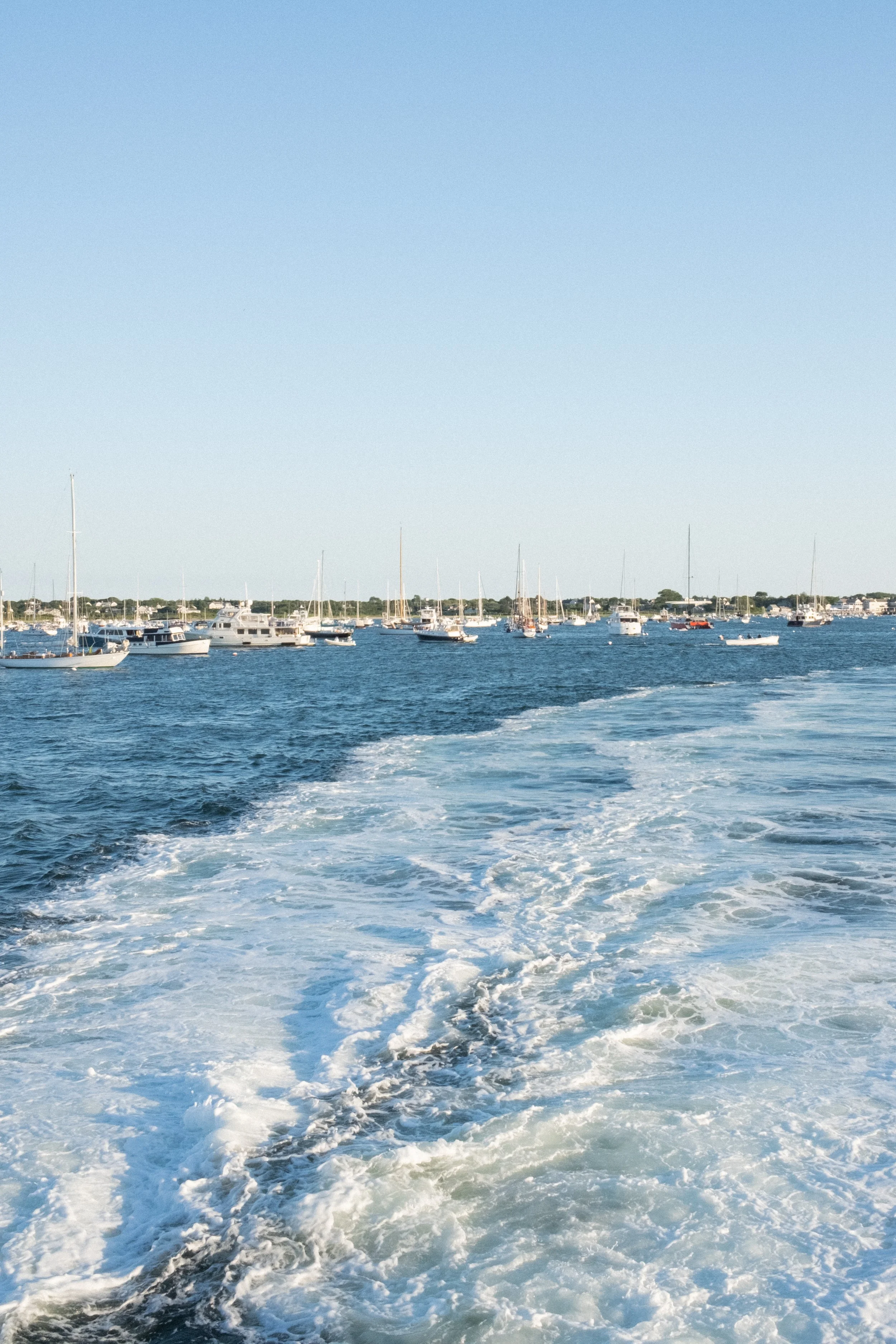 DSCF1581.jpg