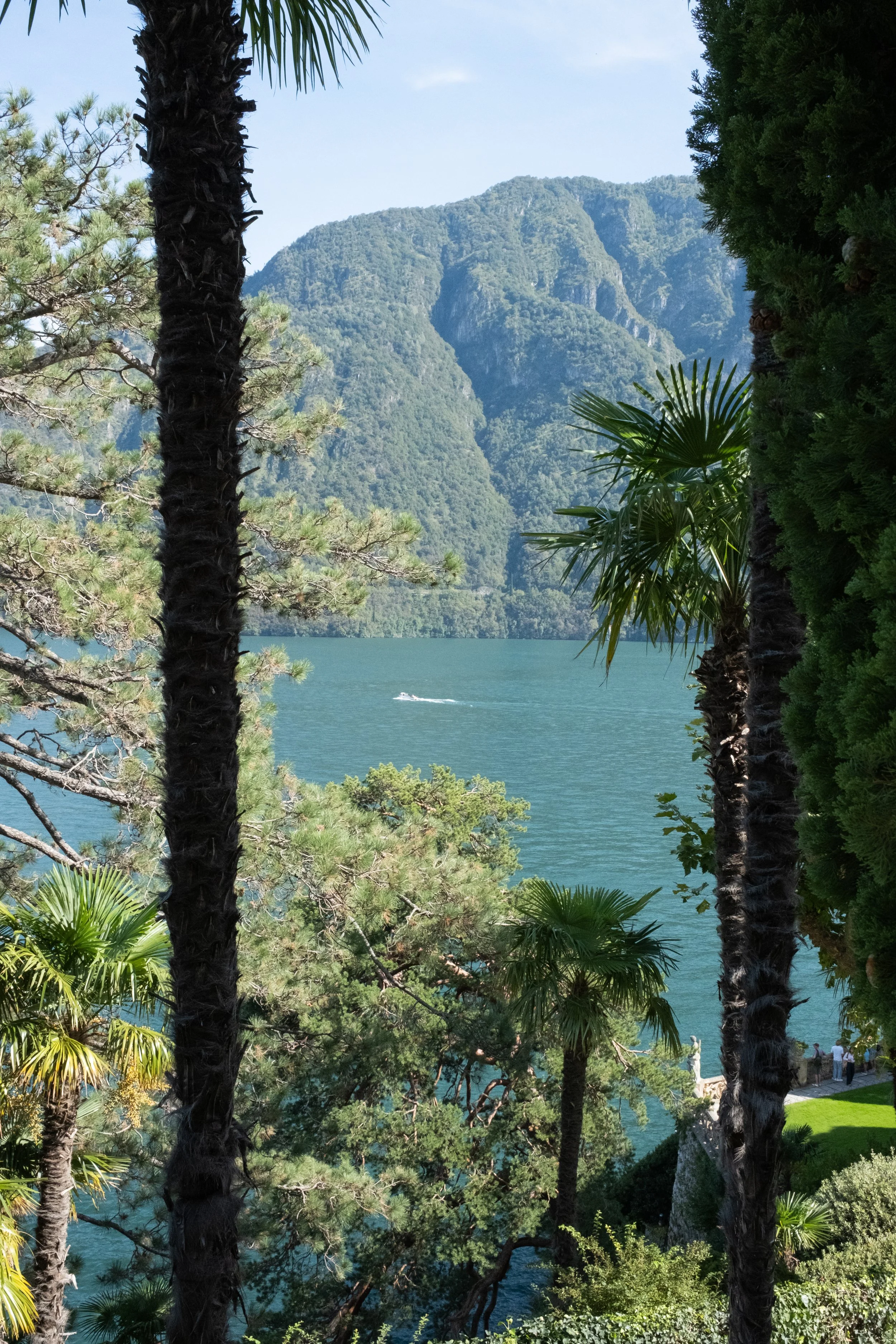 DSCF2041.jpg