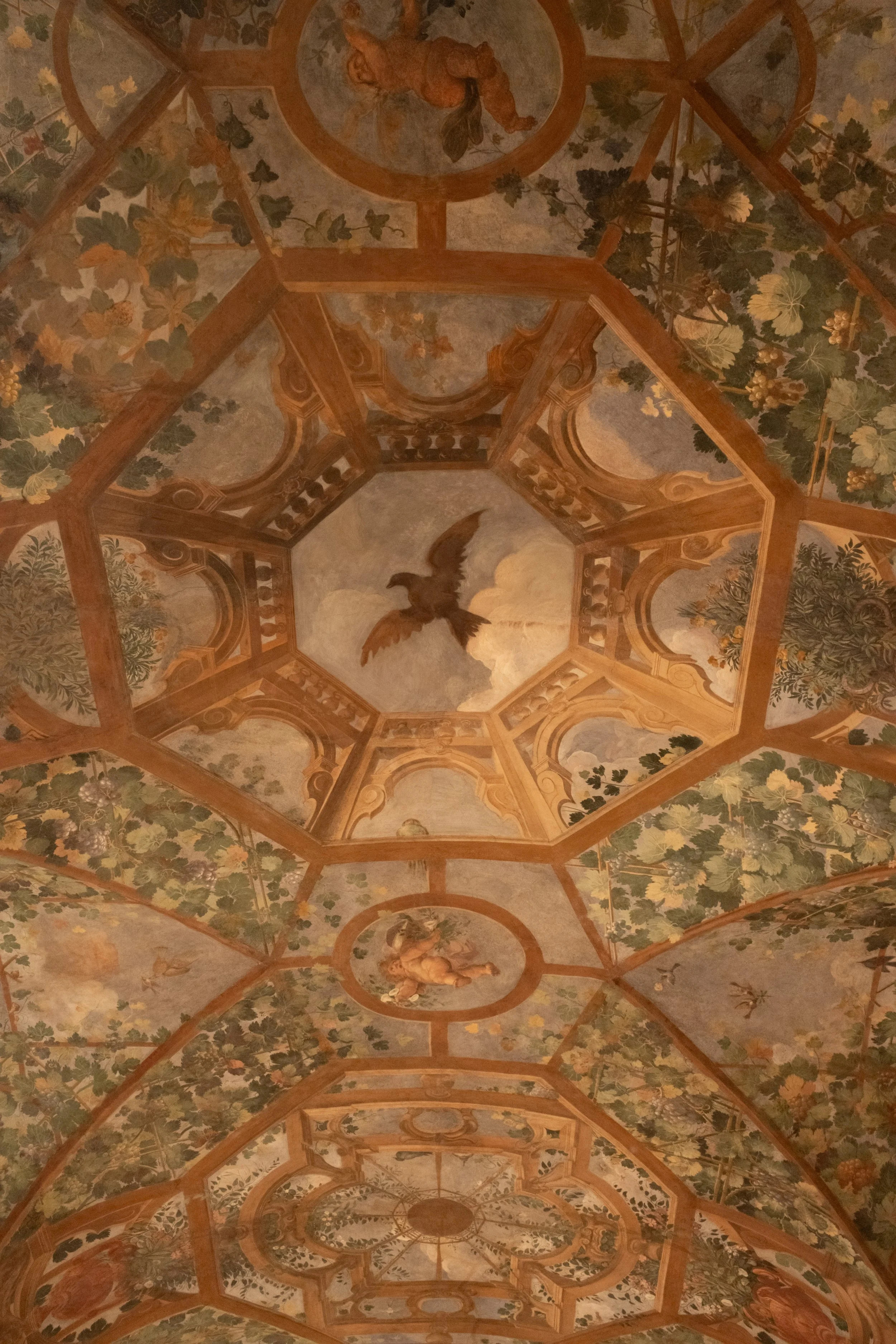 DSCF2150.jpg
