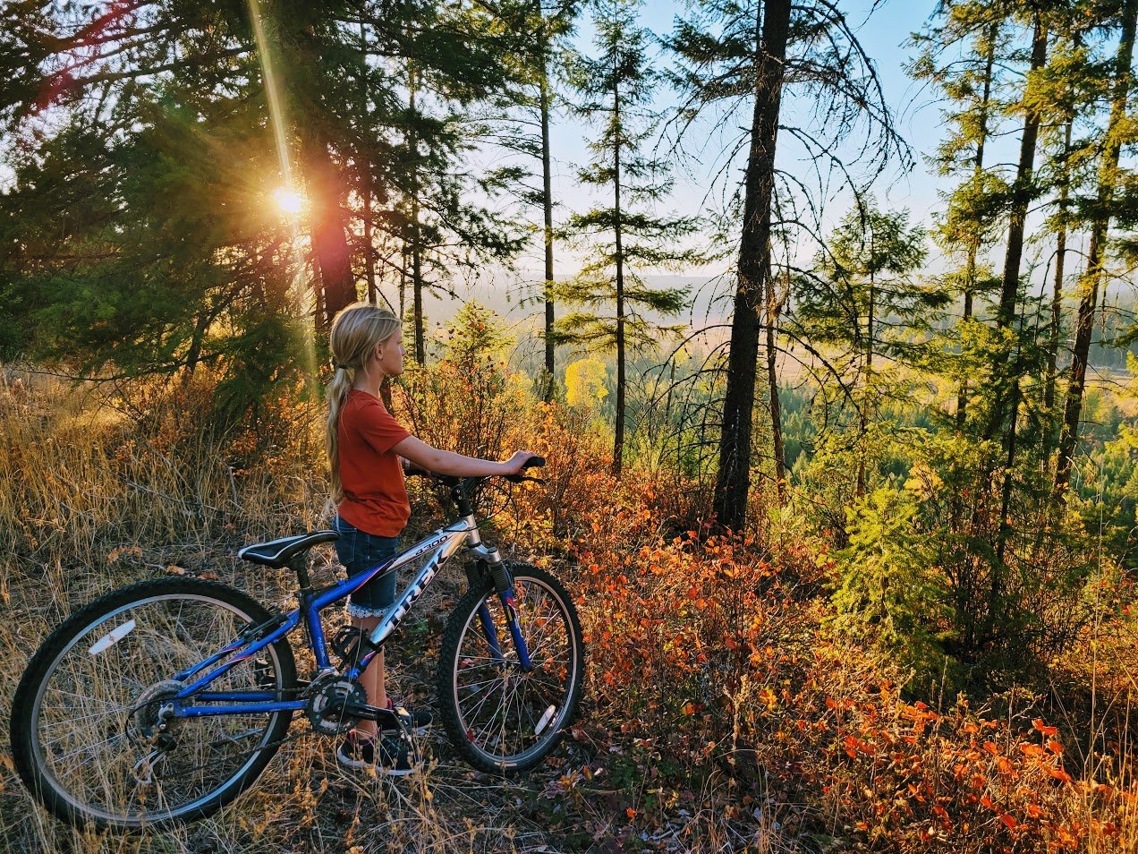 Musings from the Saddle