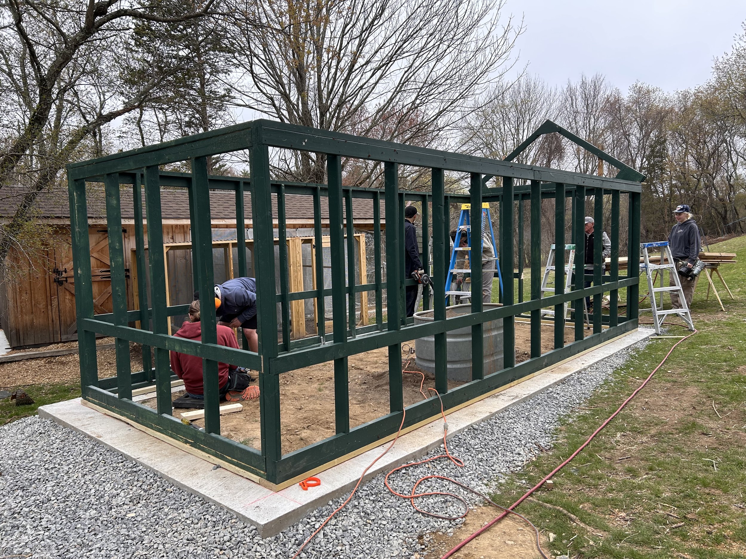 Pretty as a Peacock: Lowell's Boat Shop Builds Dwelling for Rescued Birds