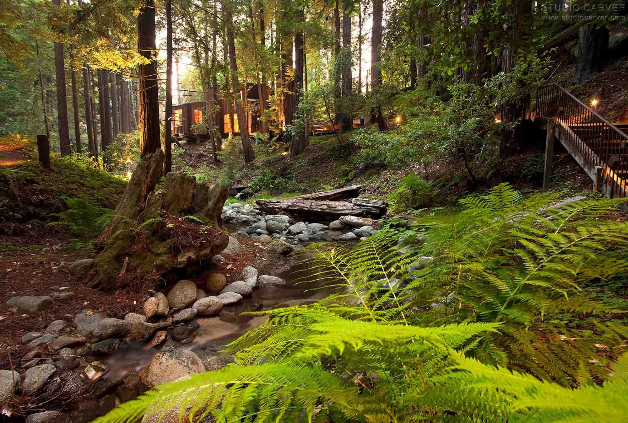 Immerse in the allure of Creek View, a residential design in Big Sur, CA. Discover Studio Carver's innovative architecture, seamlessly merging nature and modernity and redefining contemporary living.