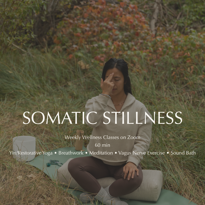 Somatic Stillness: Free Virtual Class