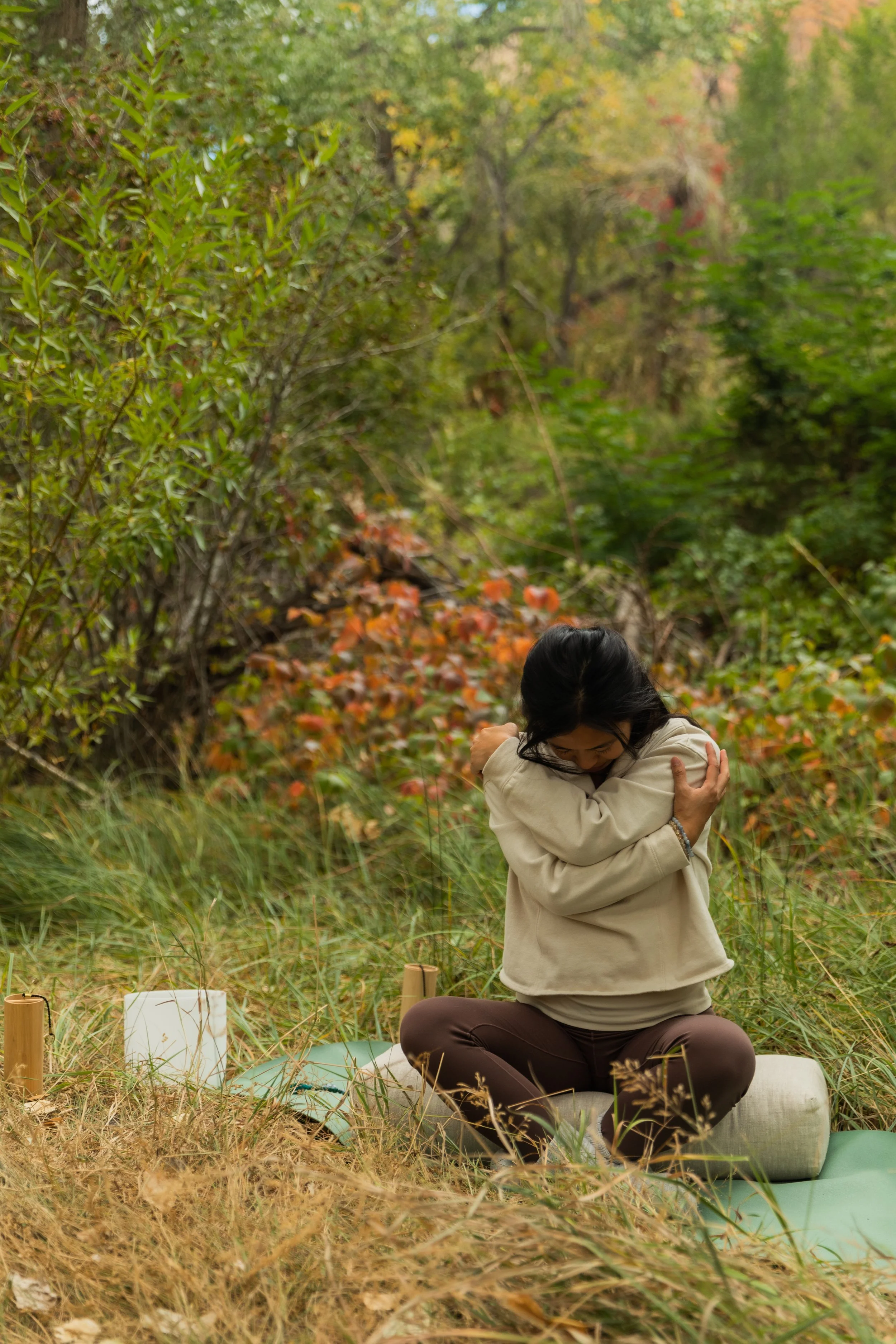 Somatic Stillness Virtual Class