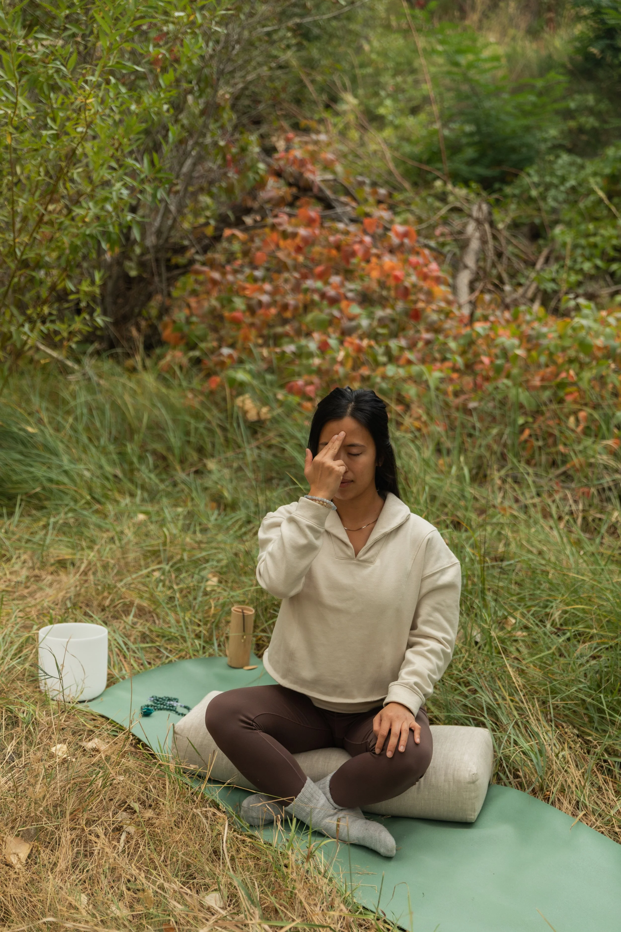 Somatic Stillness Virtual Class