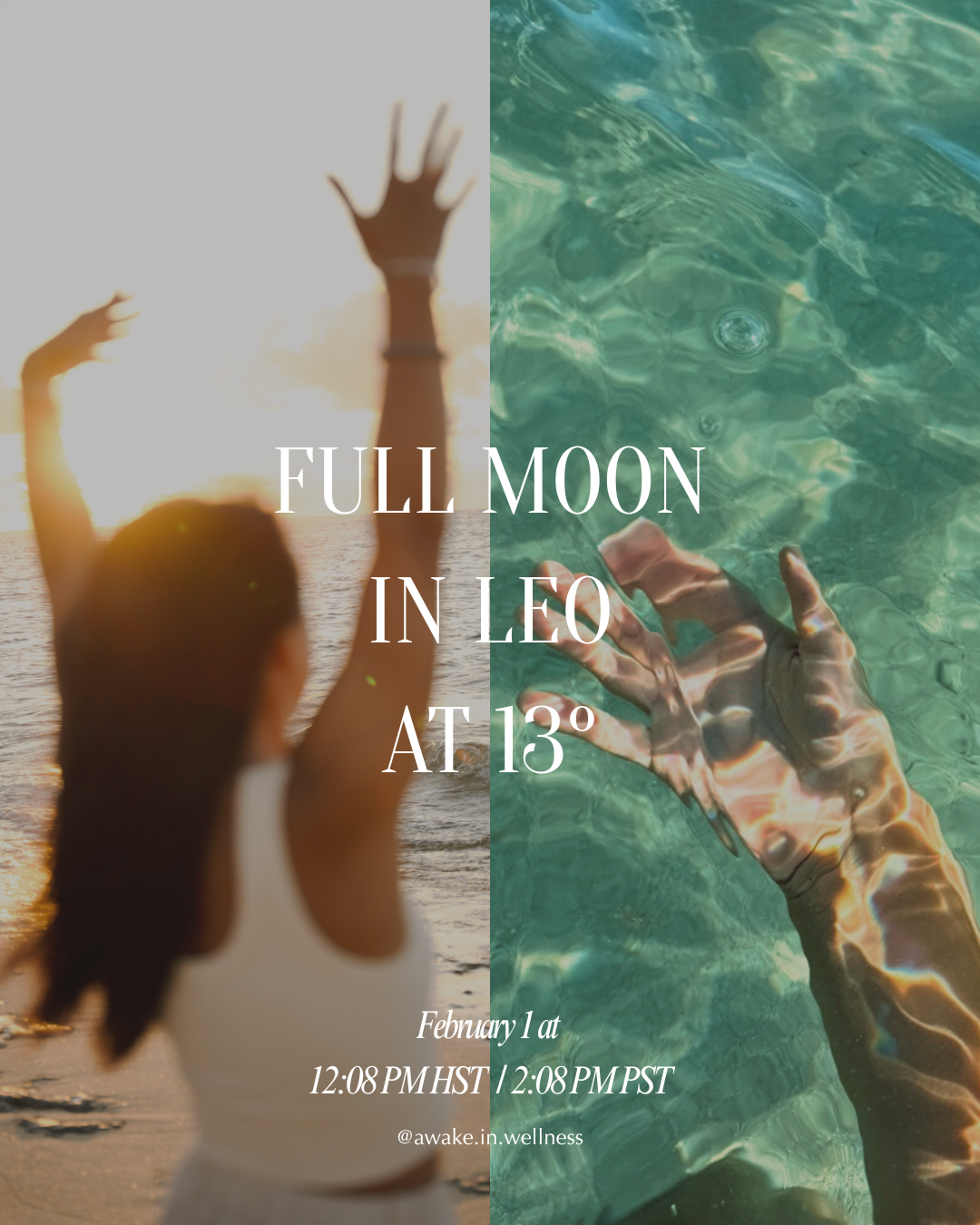 Full Moon in Leo at 13°