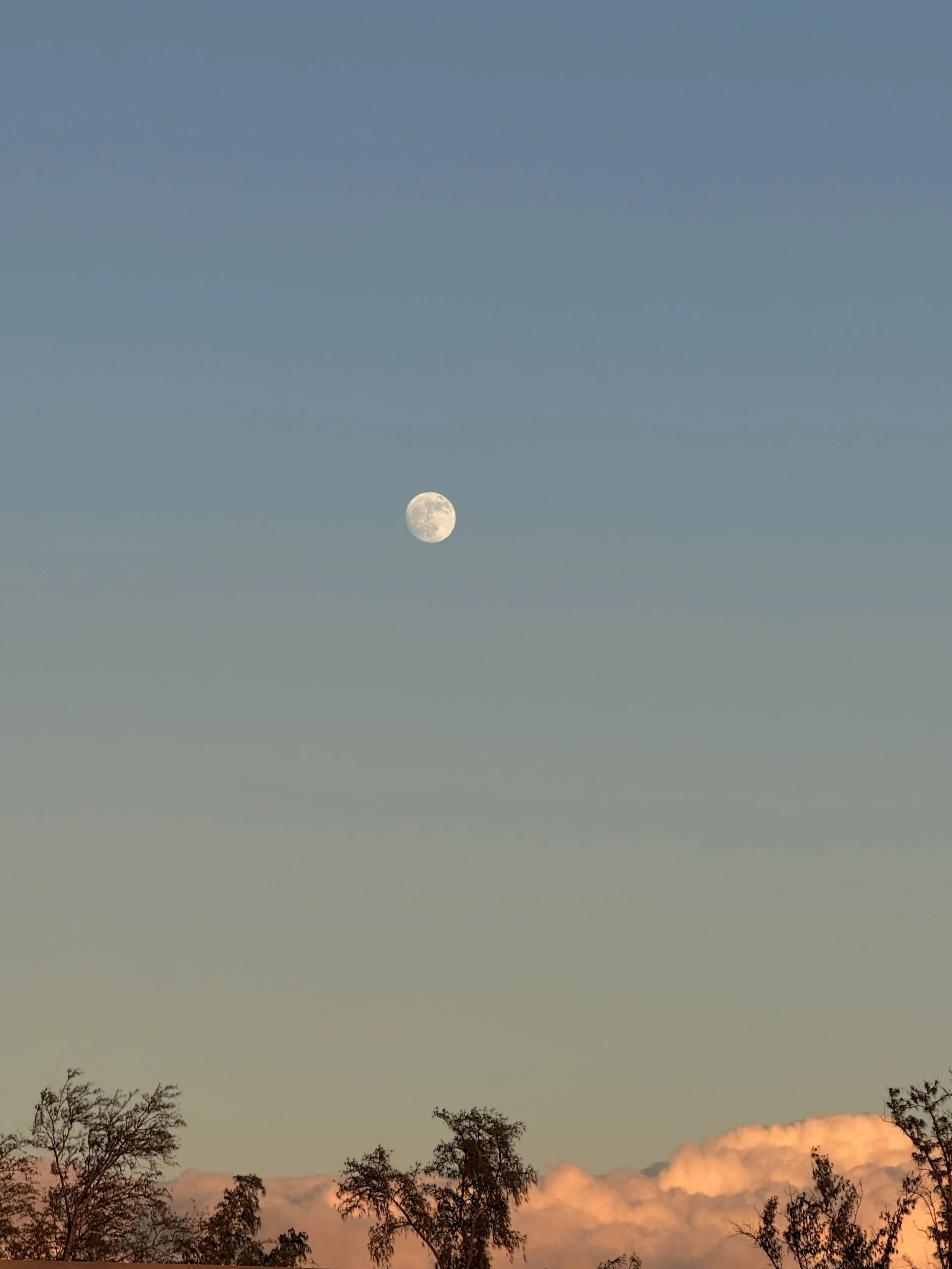 The Moon Astrology and You