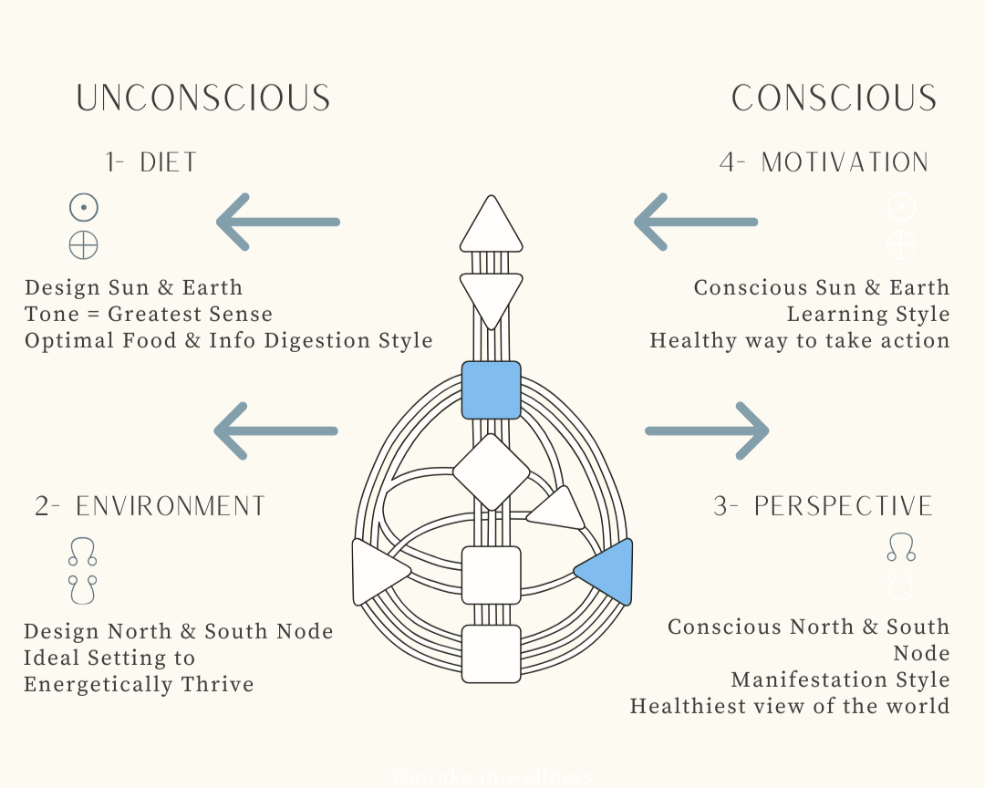 Optimize Your Daily Wellness Routines Based On Your Human Design ...