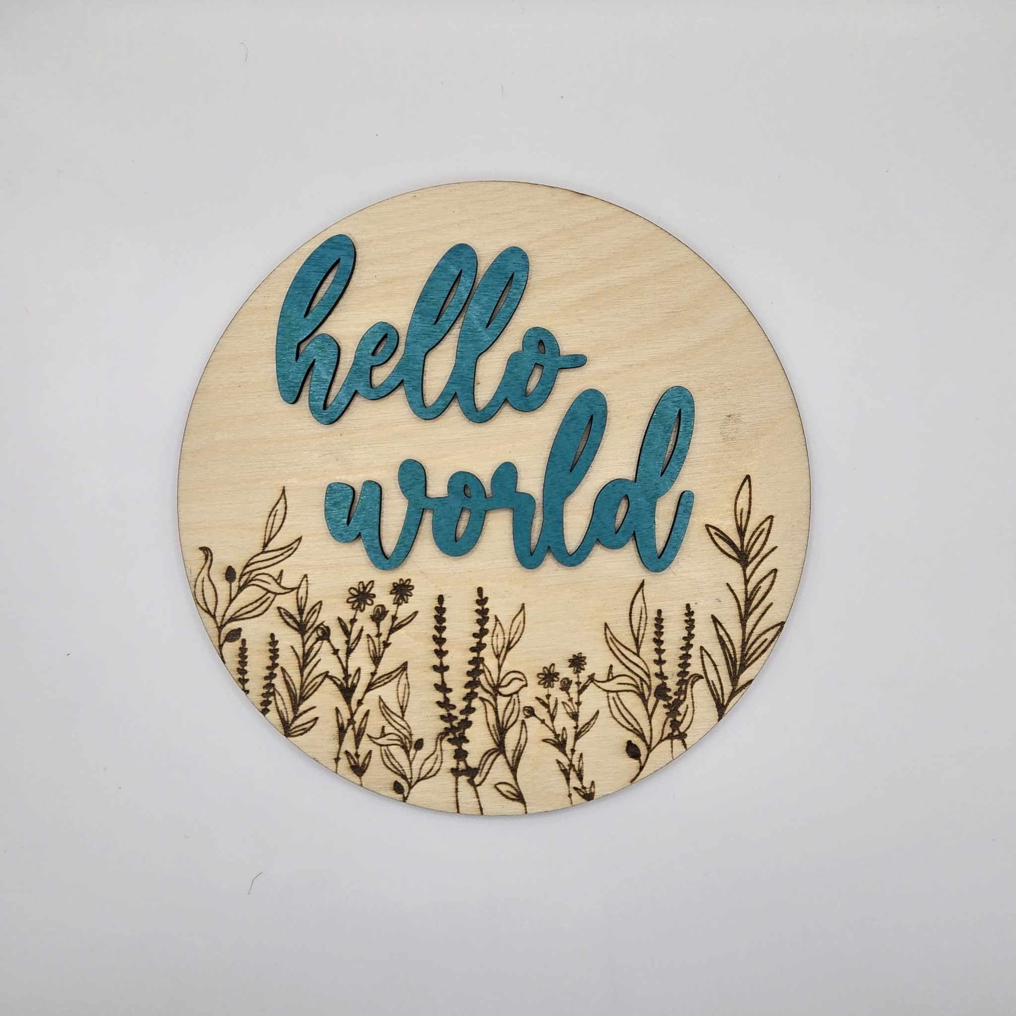 Hello World Birth Announcement Disc