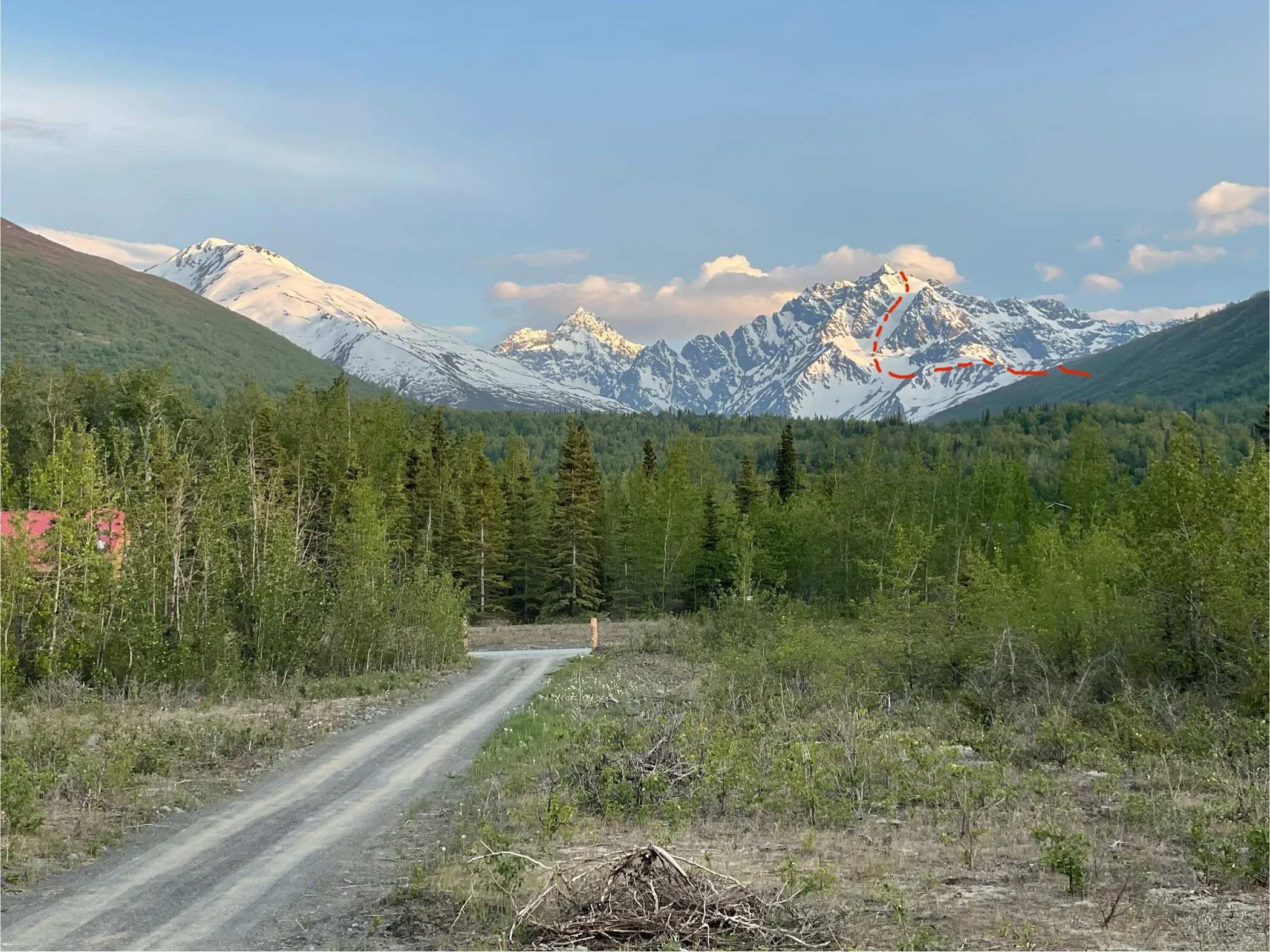 A driveway lined with green trees and pines with an excellent view of the snow covered peaks in the distance