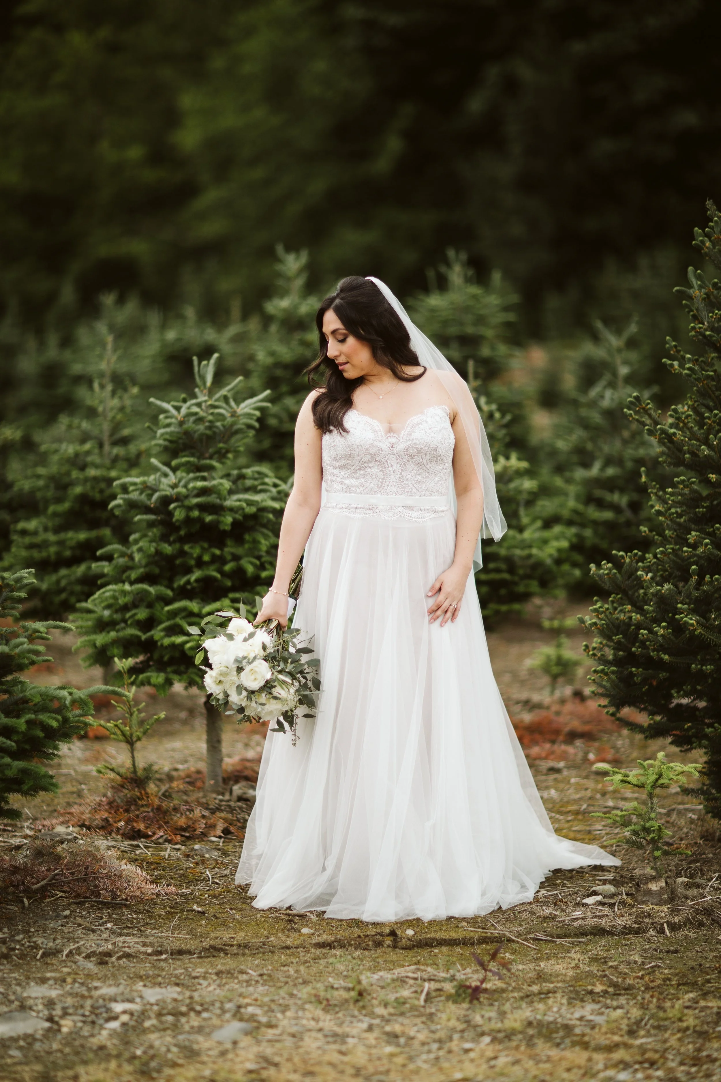 websitephotos (13 of 15).jpg