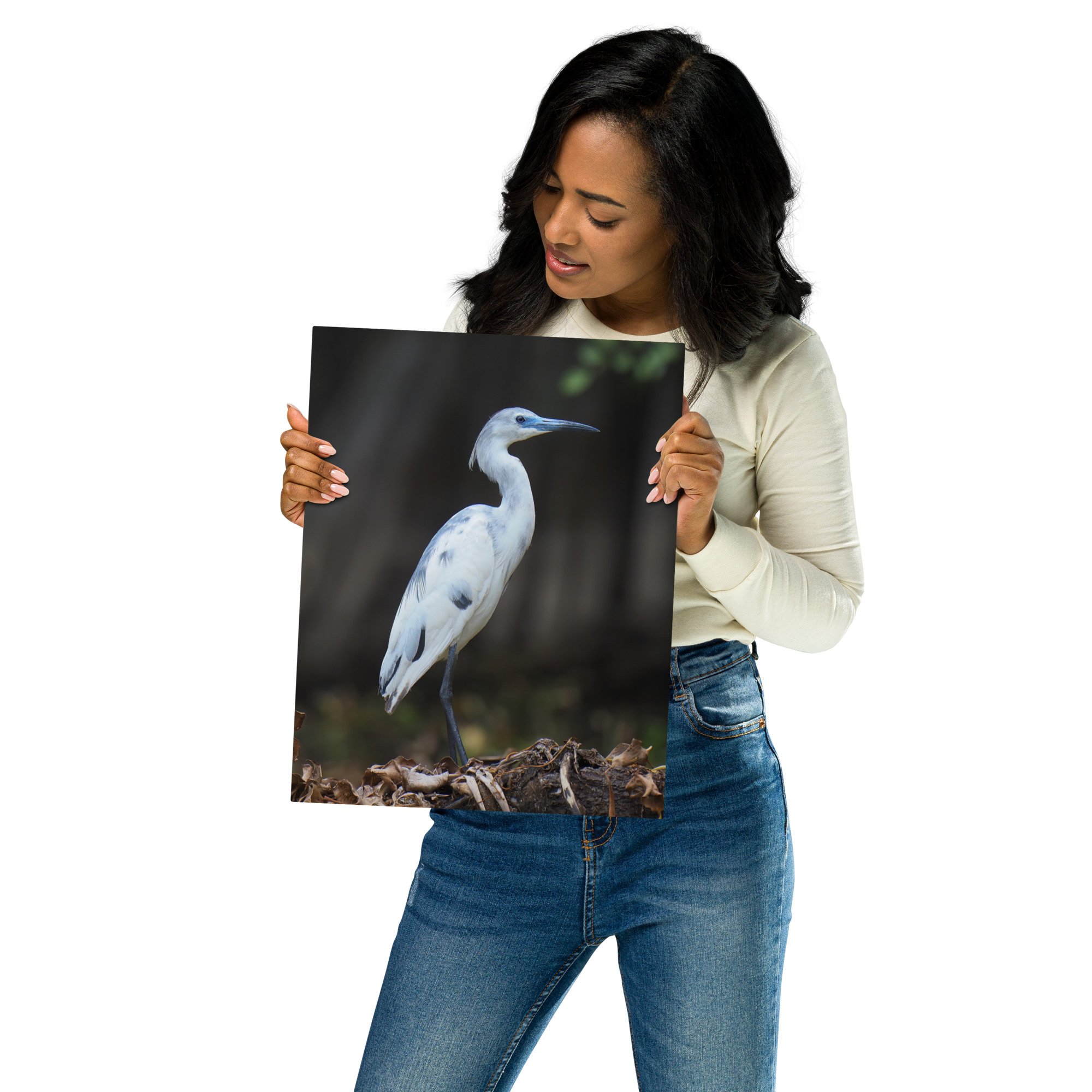 glossy-metal-print-(in)-white-11x14-front-67939574ecbd2.jpg