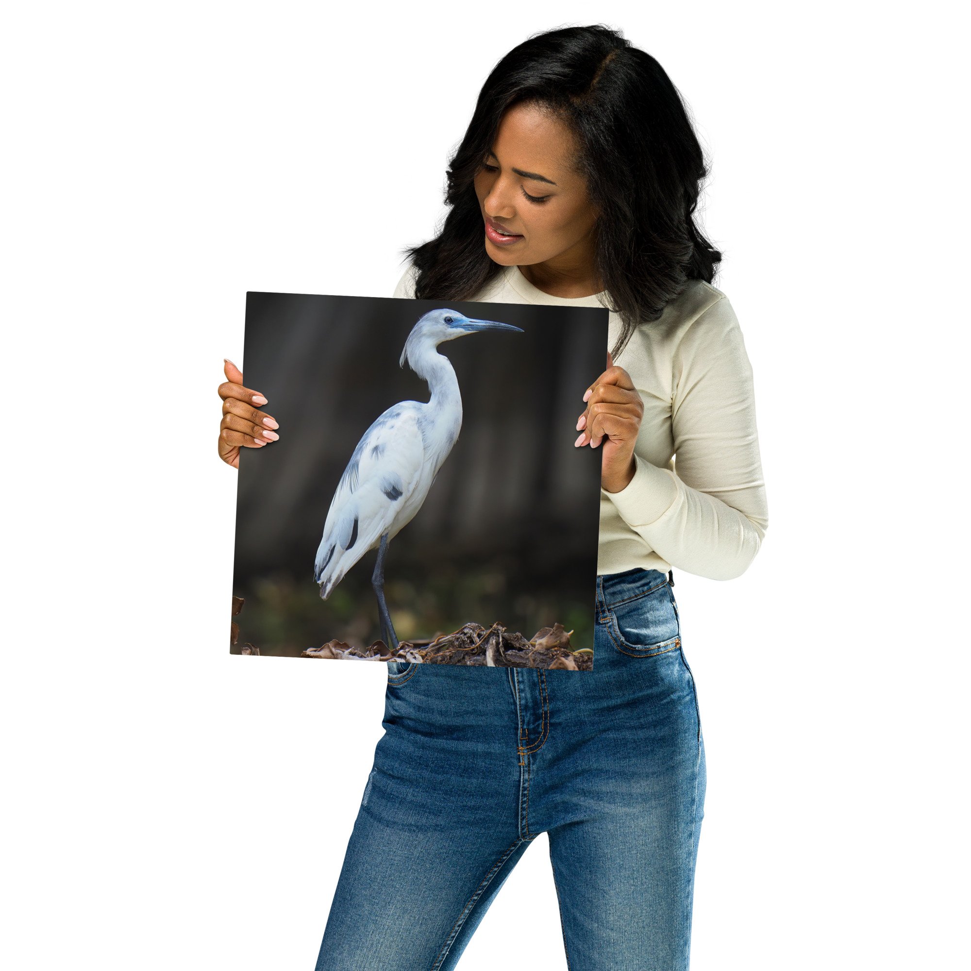 glossy-metal-print-(in)-white-12x12-front-67939574ecccd.jpg