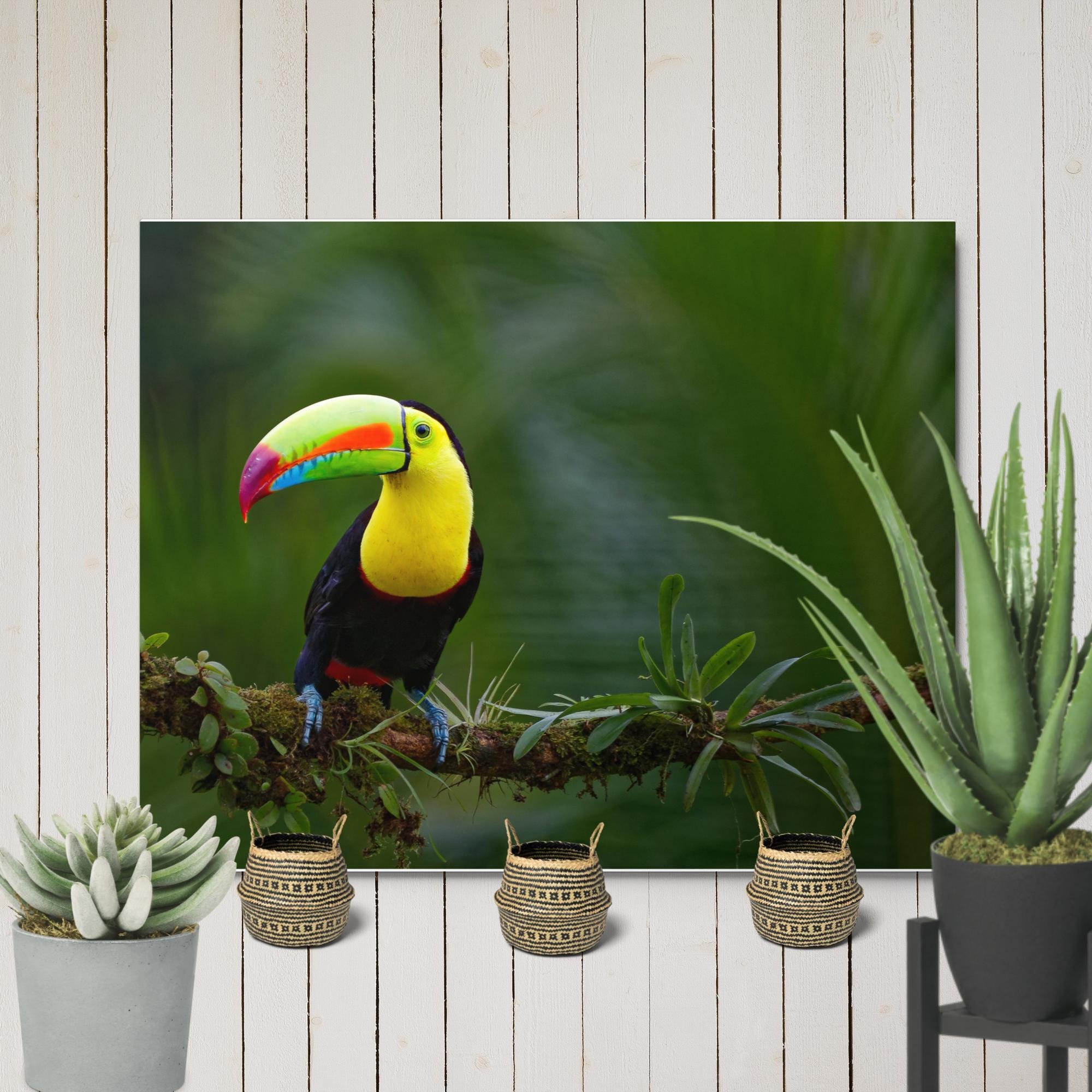 glossy-metal-print-(in)-white-16x20-front-6794058c4bdec.jpg