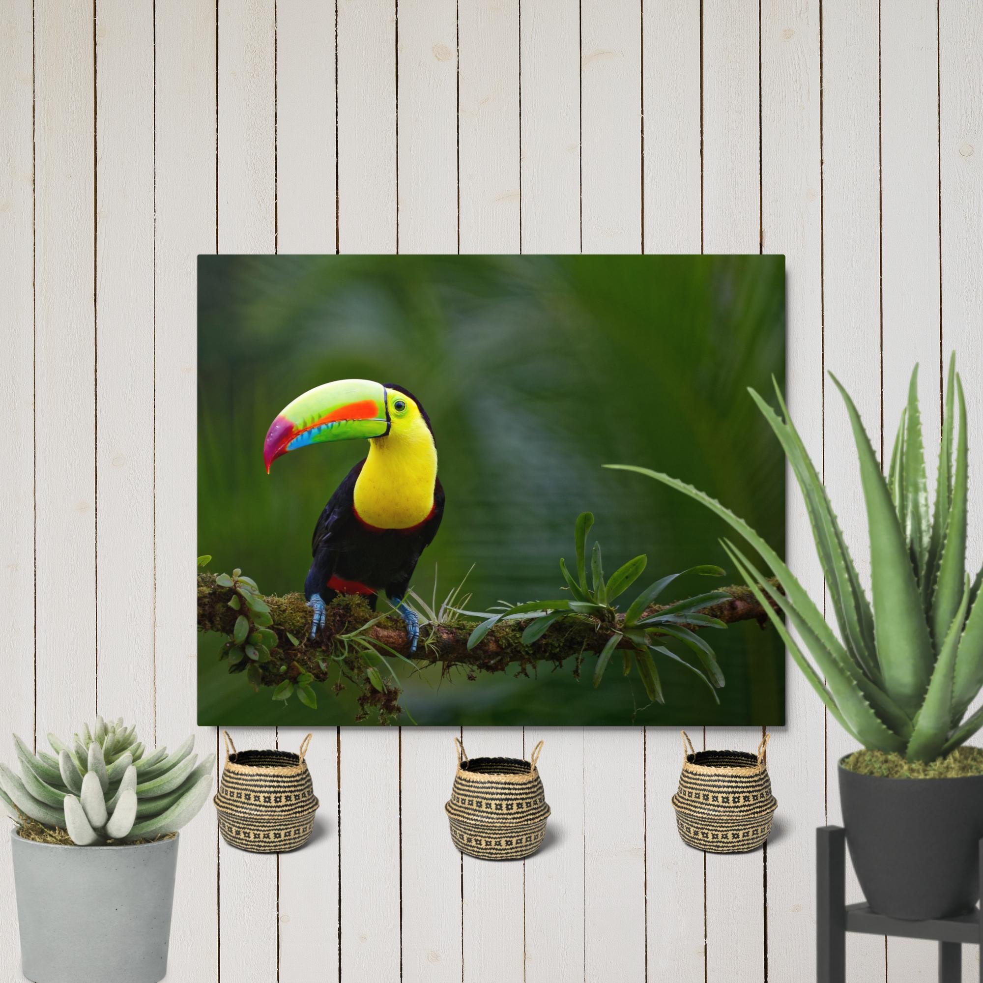 glossy-metal-print-(in)-white-8x10-front-6794058c4ce50.jpg