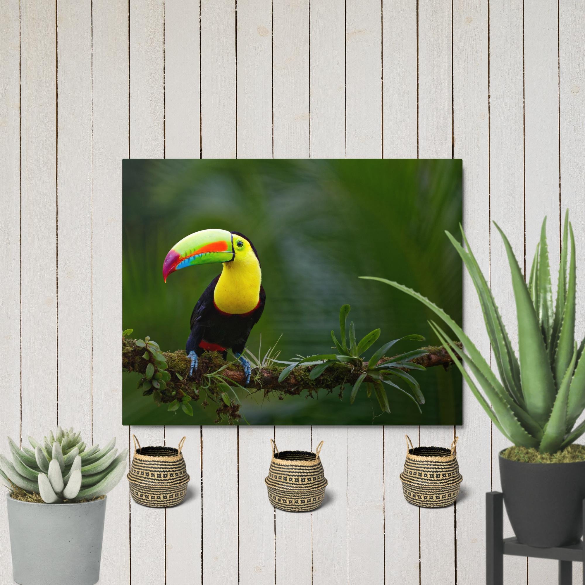 glossy-metal-print-(in)-white-11x14-front-6794058c4f0e2.jpg
