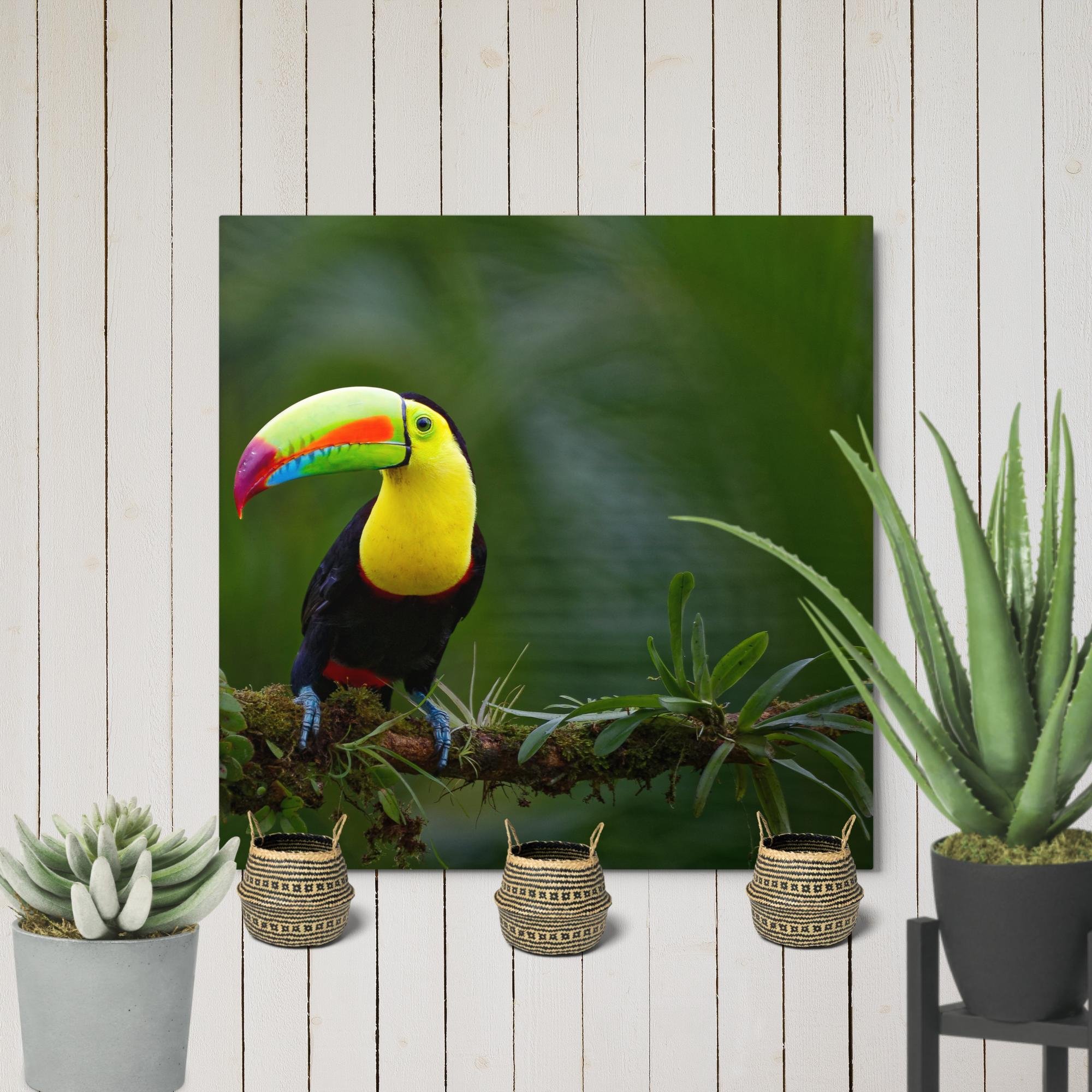 glossy-metal-print-(in)-white-12x12-front-6794058c4e051.jpg