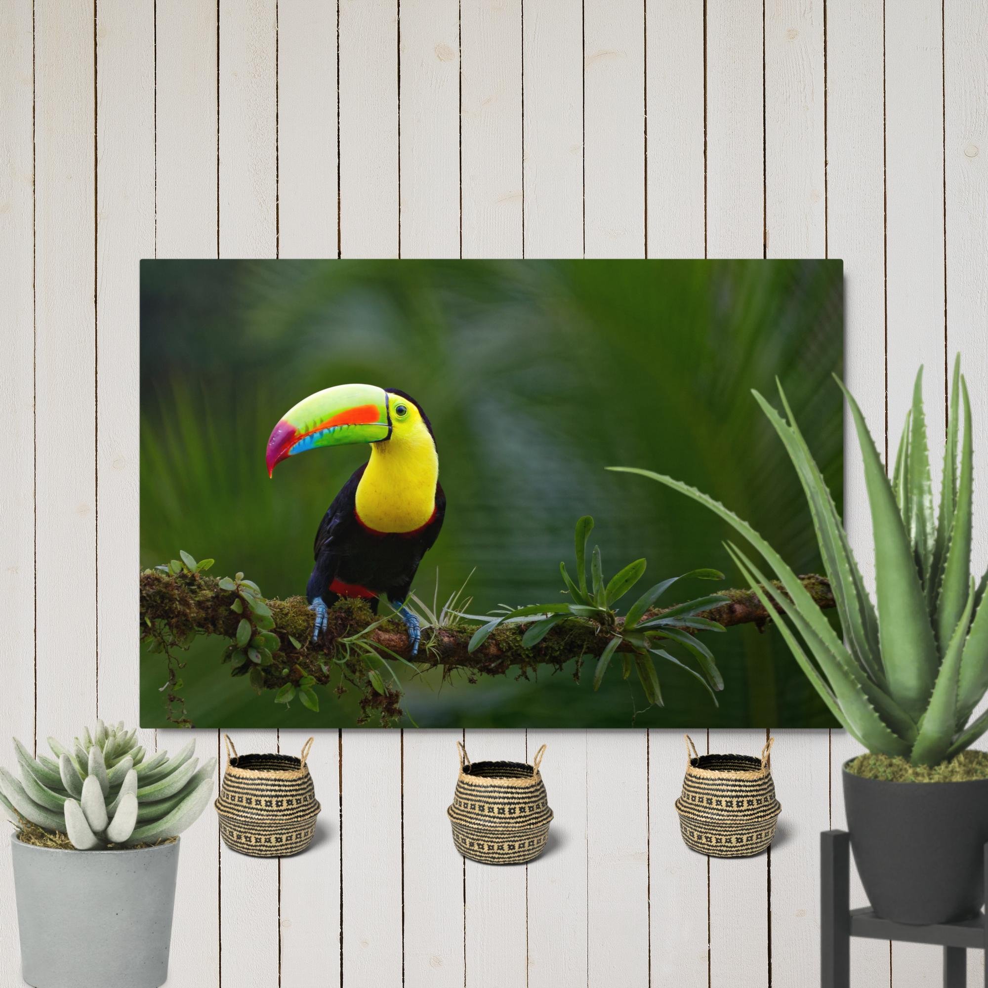 glossy-metal-print-(in)-white-20x30-front-6794058c50204.jpg