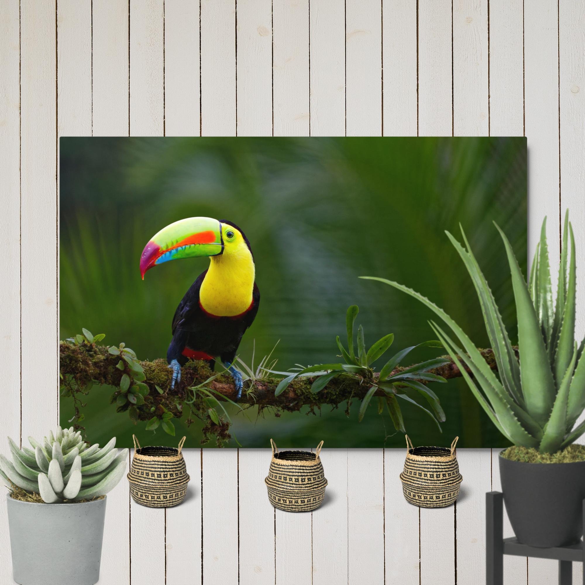 glossy-metal-print-(in)-white-24x36-front-6794058c5139c.jpg