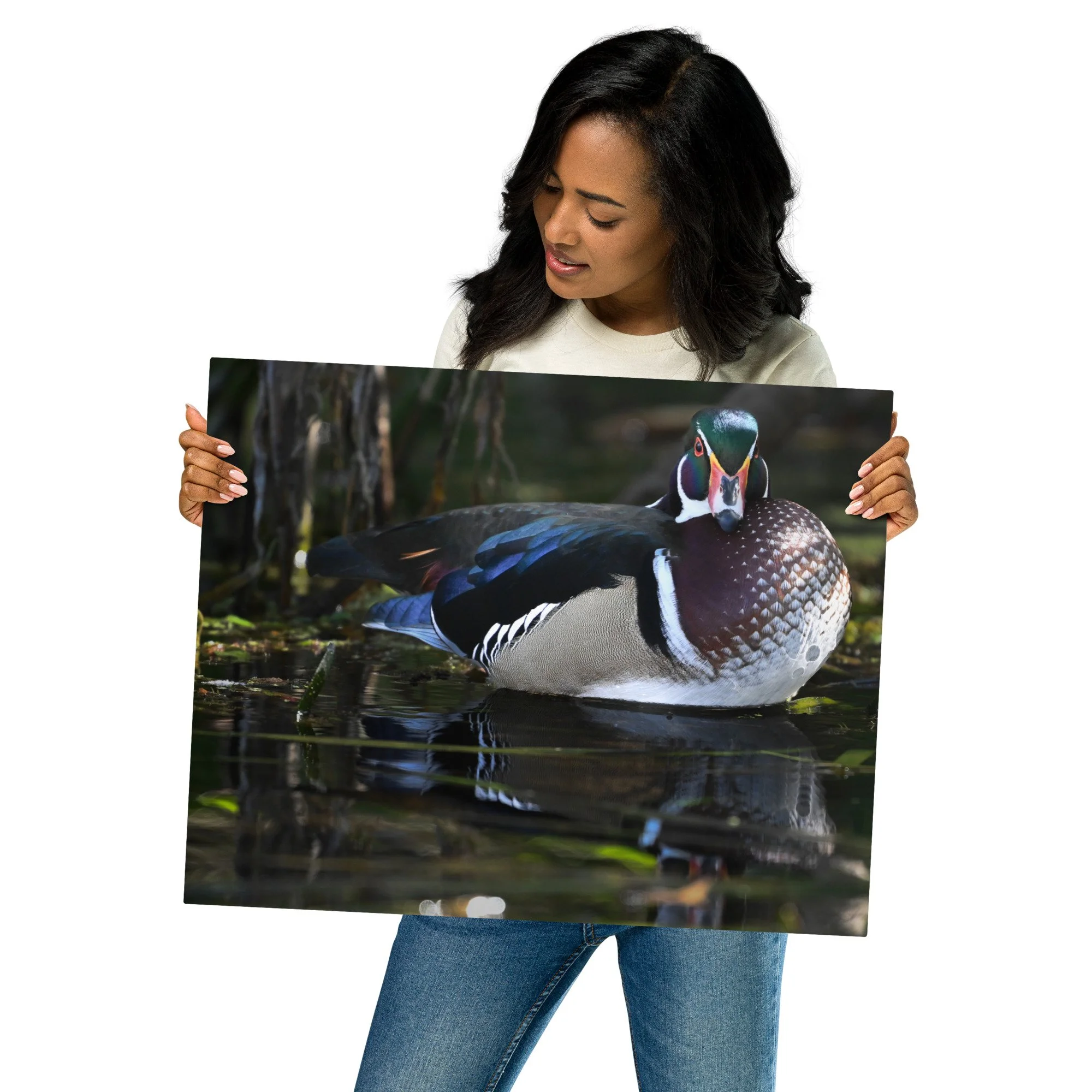 Aluminum metal surface/ wood Duck — 506 Adventure