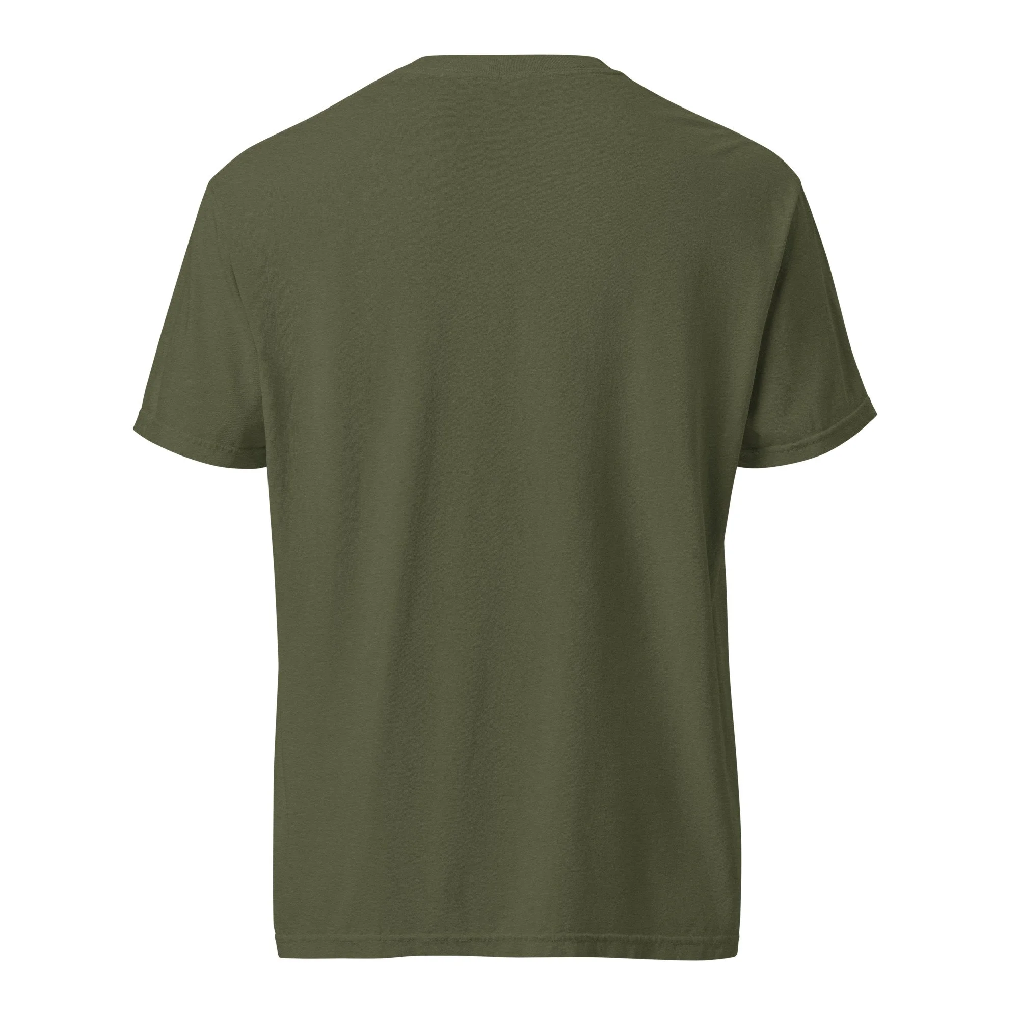 unisex-garment-dyed-heavyweight-t-shirt-hemp-back-6a8e3518e64d7.jpg