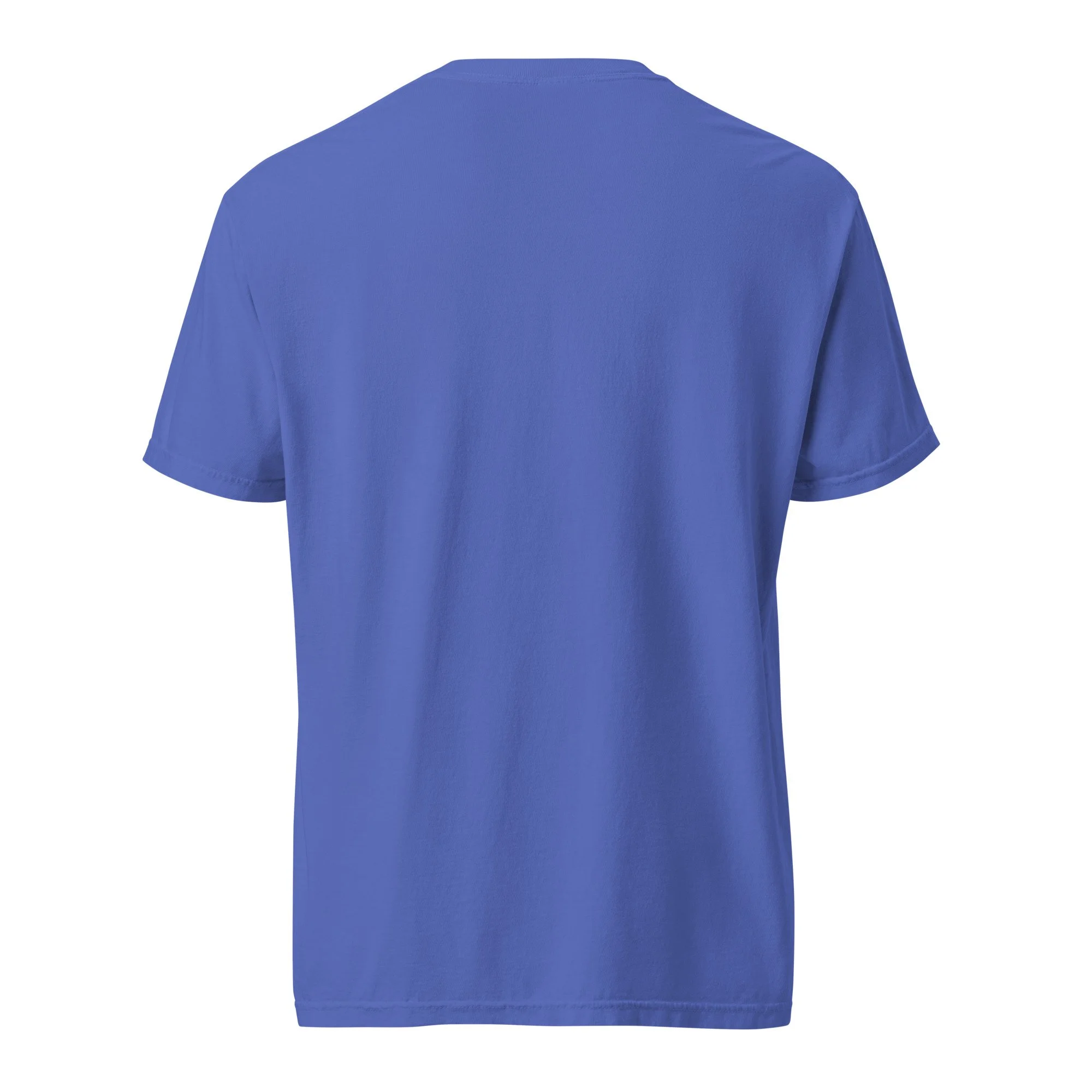 unisex-garment-dyed-heavyweight-t-shirt-flo-blue-back-6a8e3518e6223.jpg