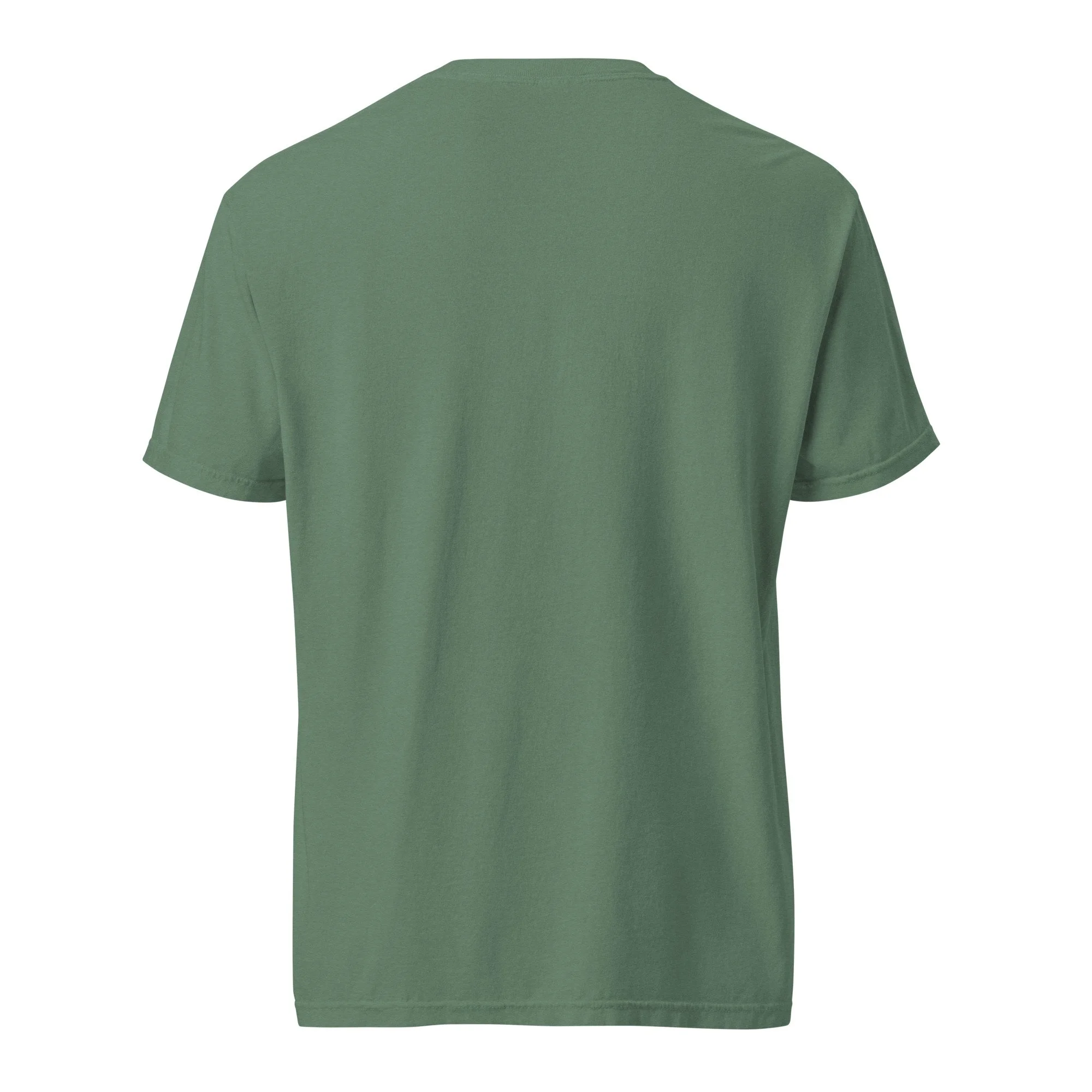 unisex-garment-dyed-heavyweight-t-shirt-light-green-back-6a8e3518e6251.jpg