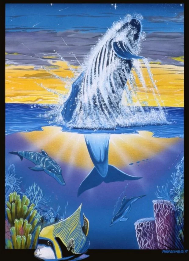 An illustrated scene of a whale breaching the ocean surface against a sunset sky, with various fish and colorful coral reef below the water.