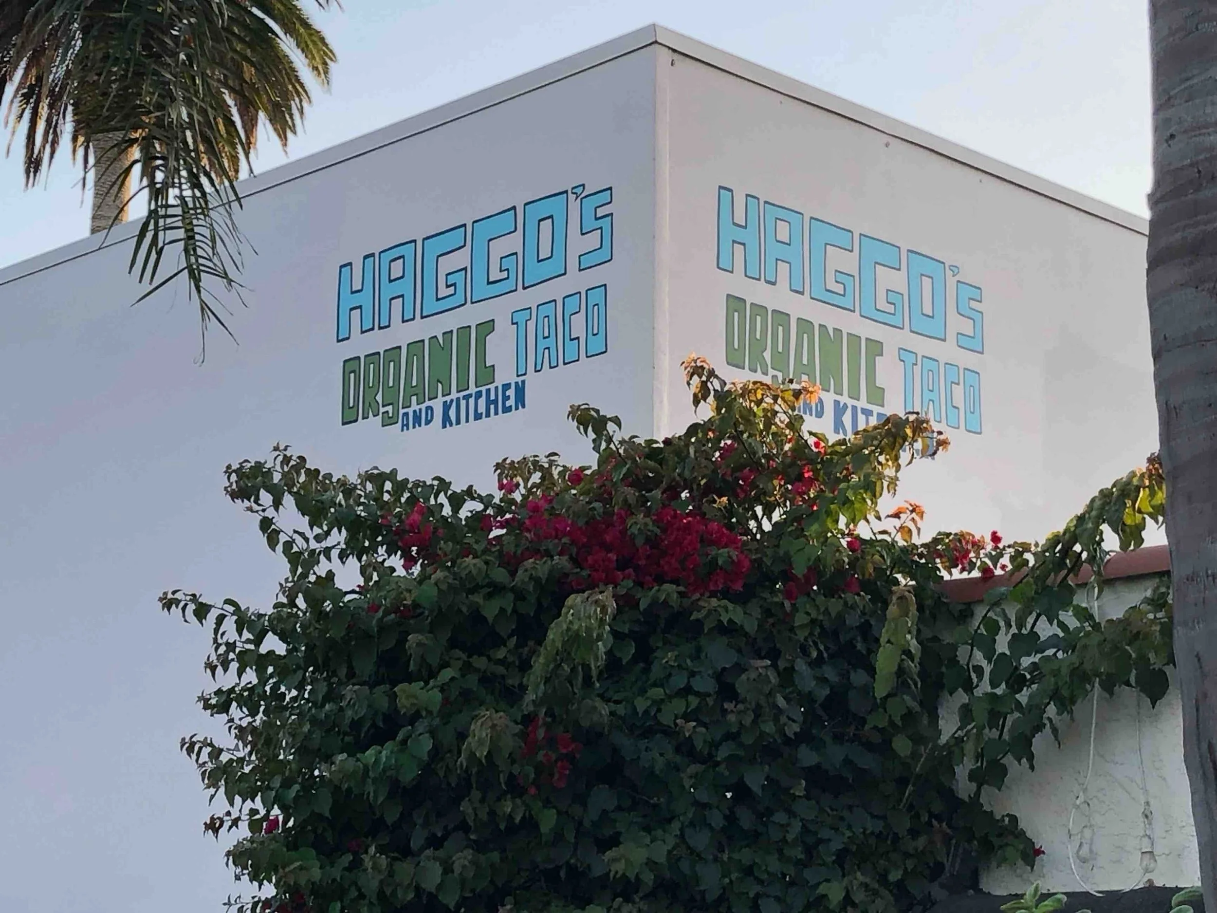 Exterior of a building with a sign that reads "HAGGOS ORGANIC TACO AND KITCHEN" and some greenery including a palm tree and flowering bush in front.