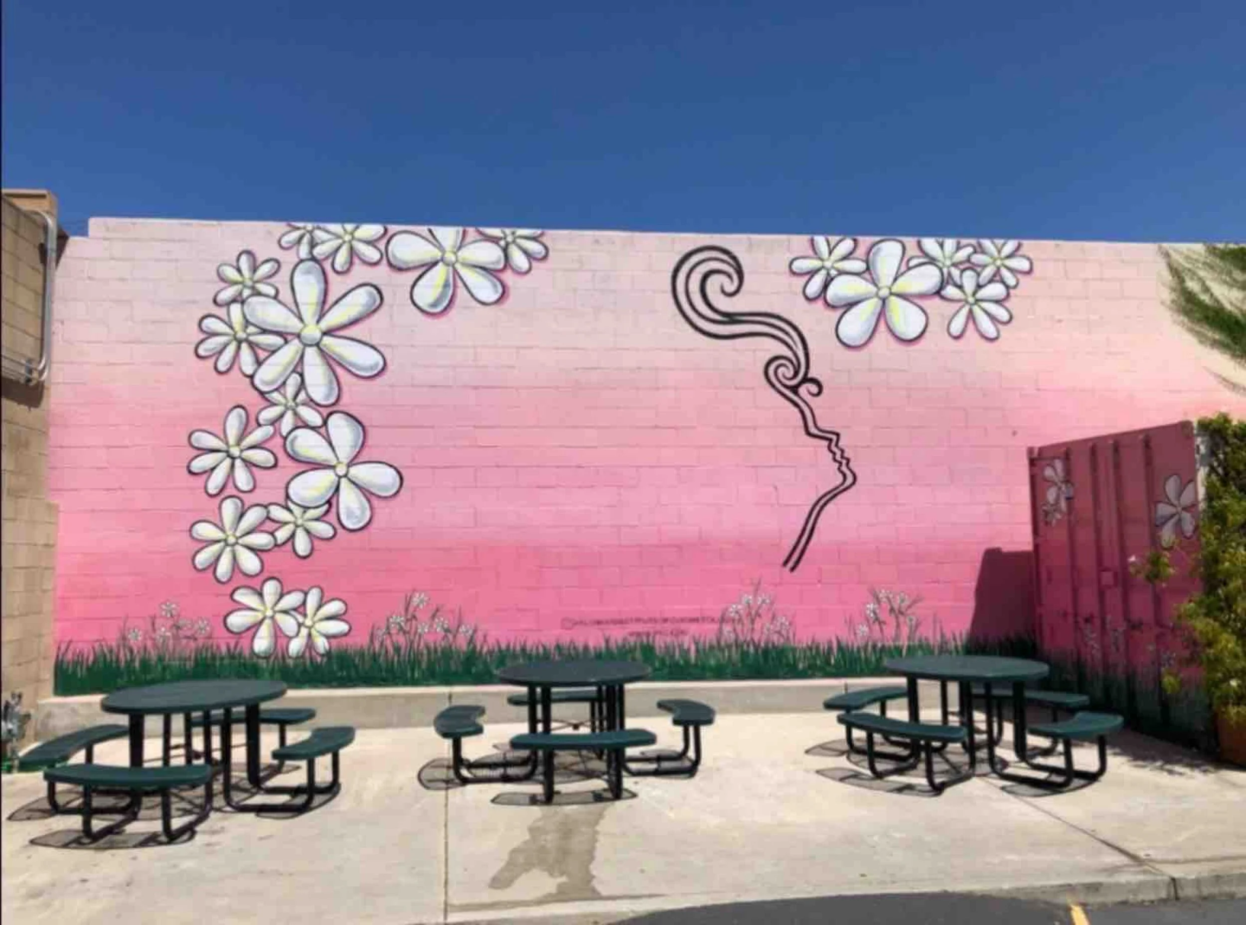 A pink wall mural with white and yellow daisies, a black outline of a woman's profile with flowing hair and a swirl, and green grass at the bottom. There are black picnic tables and benches in front of the mural.