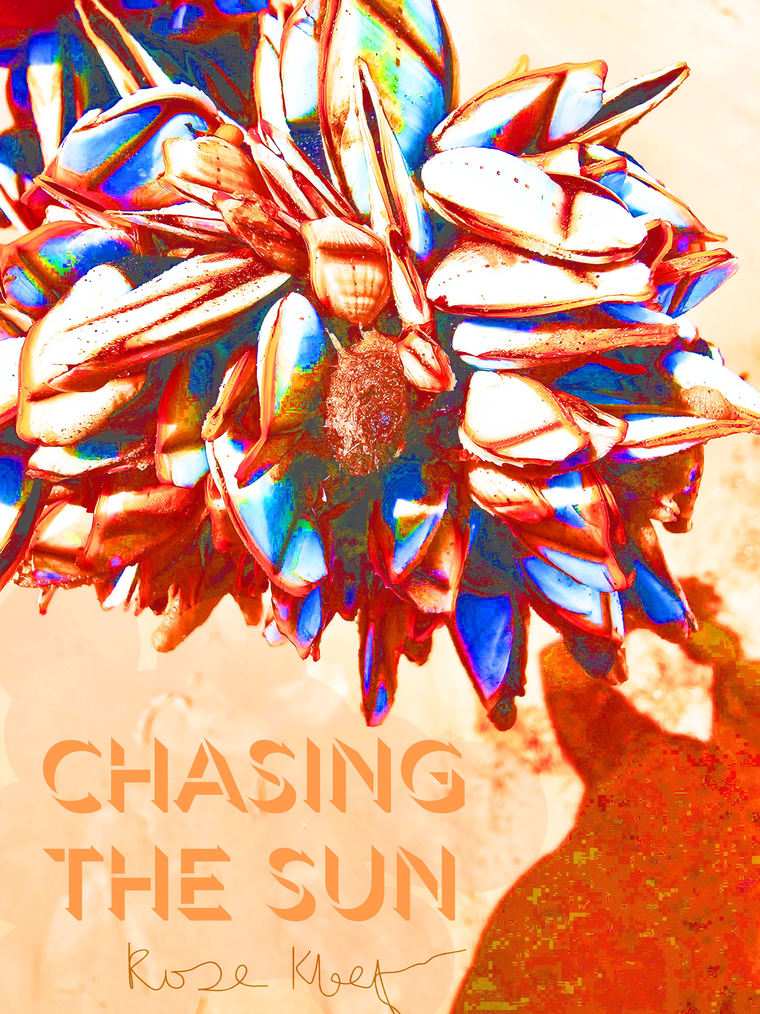 Chasing the Sun by Rose Kleefman