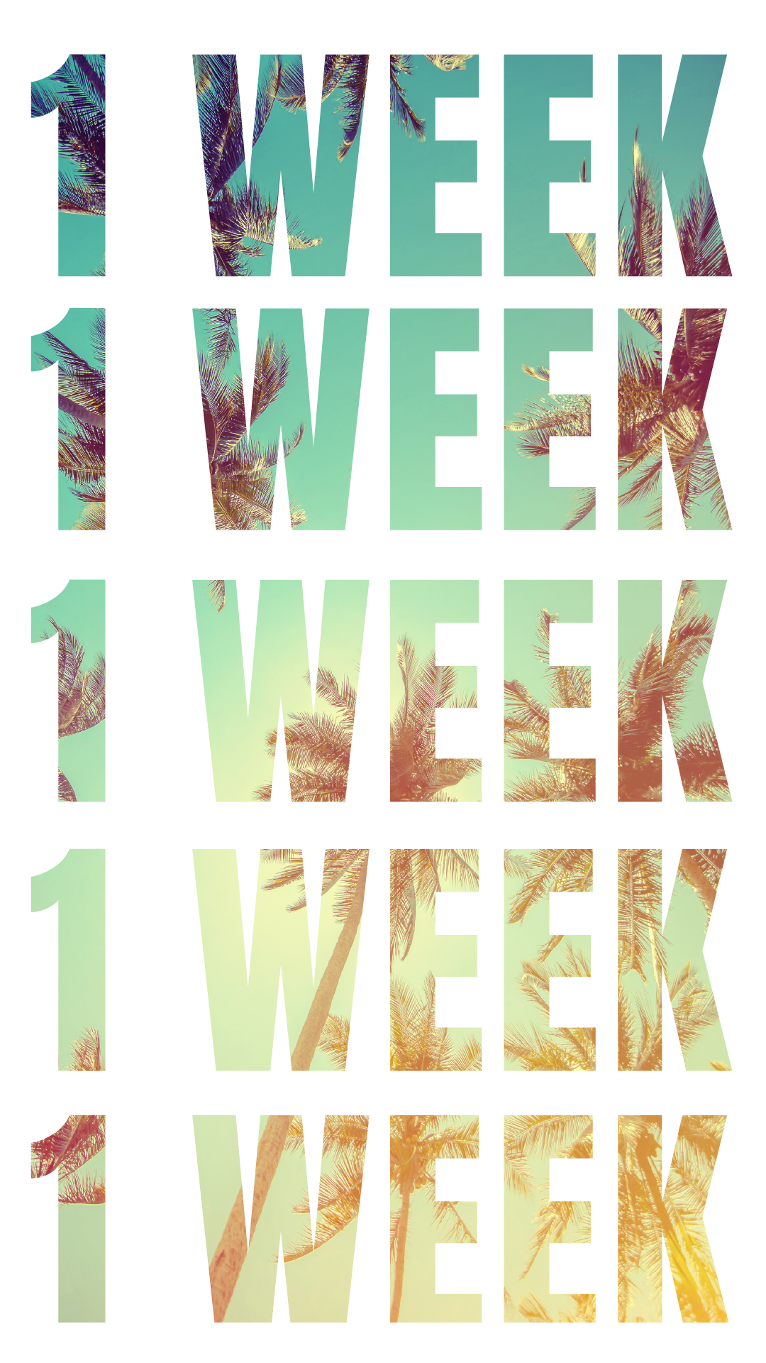 Social Media Collateral