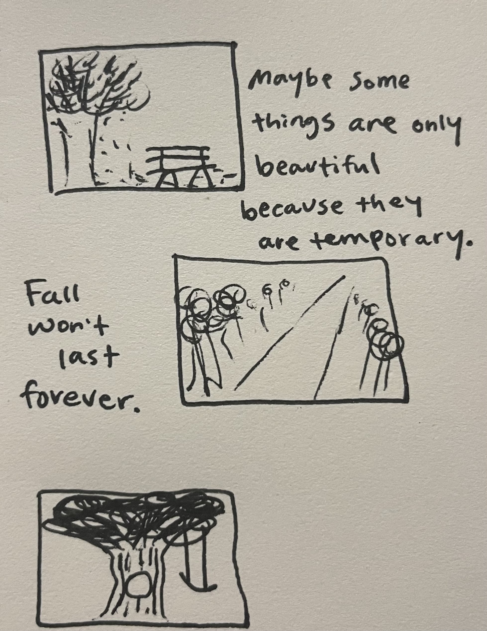IMG_0087.jpeg