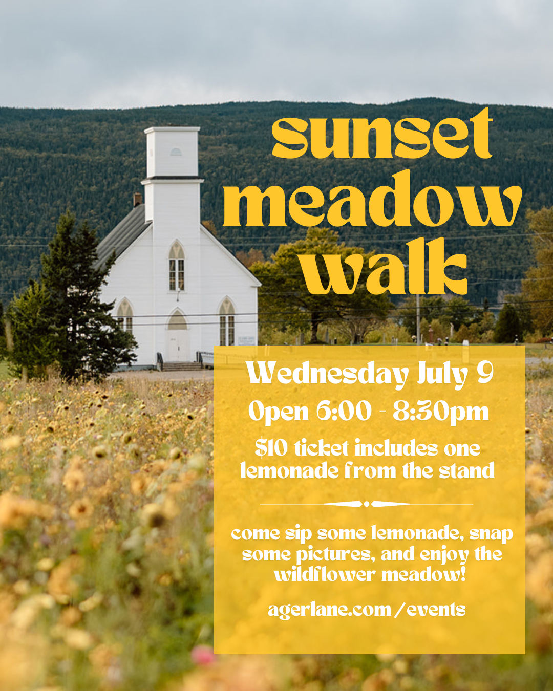 Sunset Meadow Walk