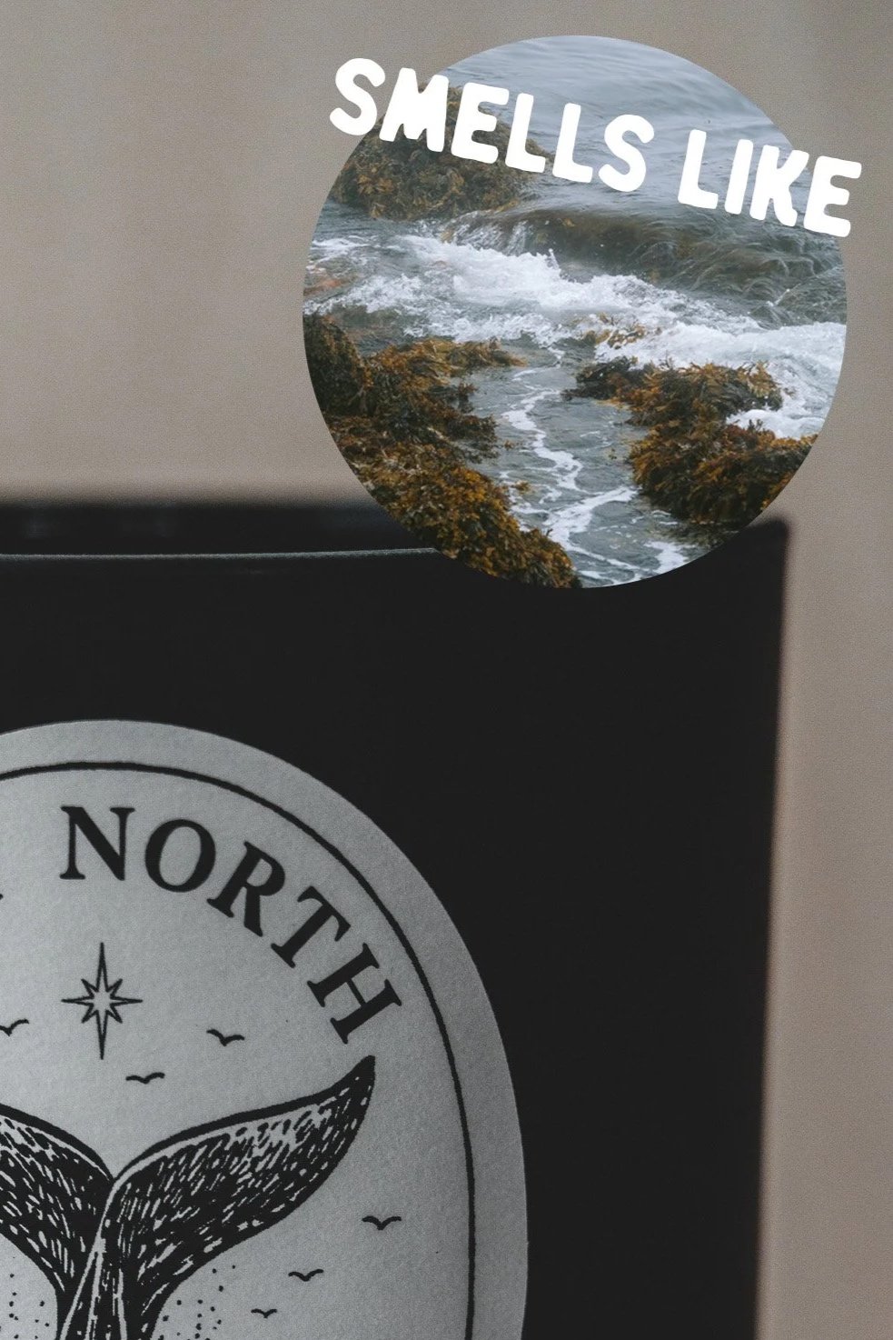 coastal.jpg