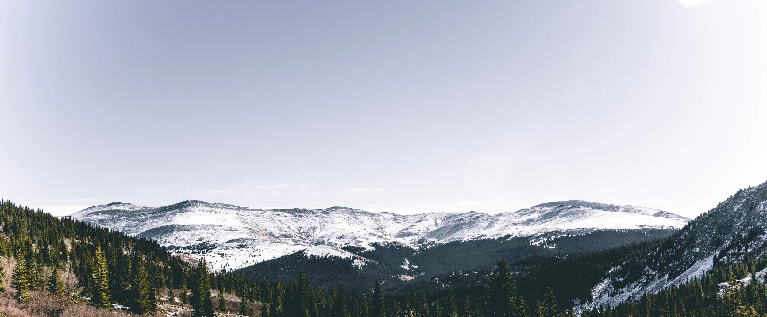 Snow-dusted mountains above a spruce forest