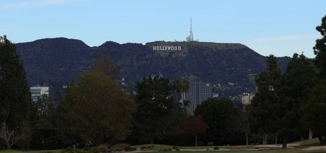 The Wilshire
