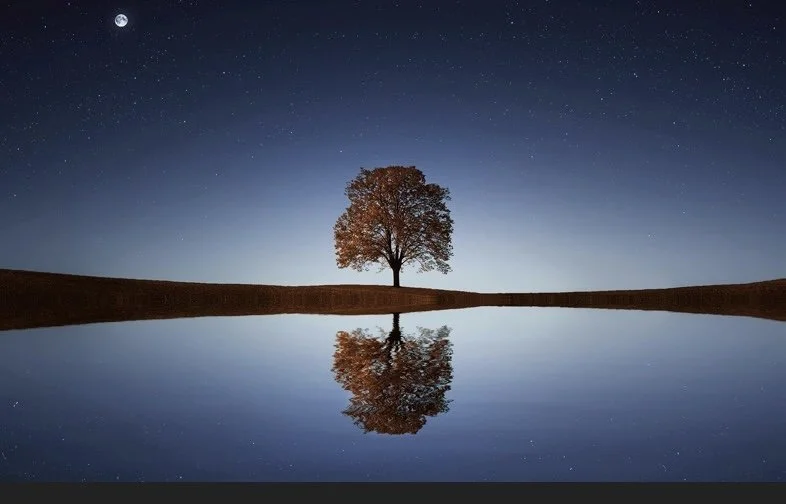 Collection of Reflections
