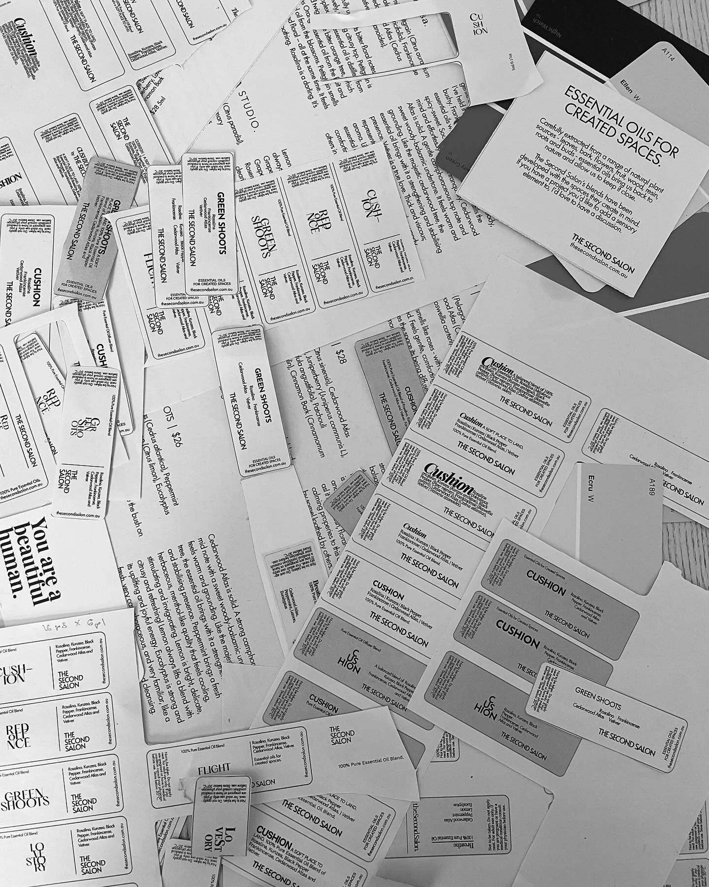 I&rsquo;ve been working on new branding for The Second Salon for, well, I don&rsquo;t know how long now. 

These pictures are a very neat summary of what has felt like chaos - good and exciting and frustrating and painstaking and fast and slow chaos.