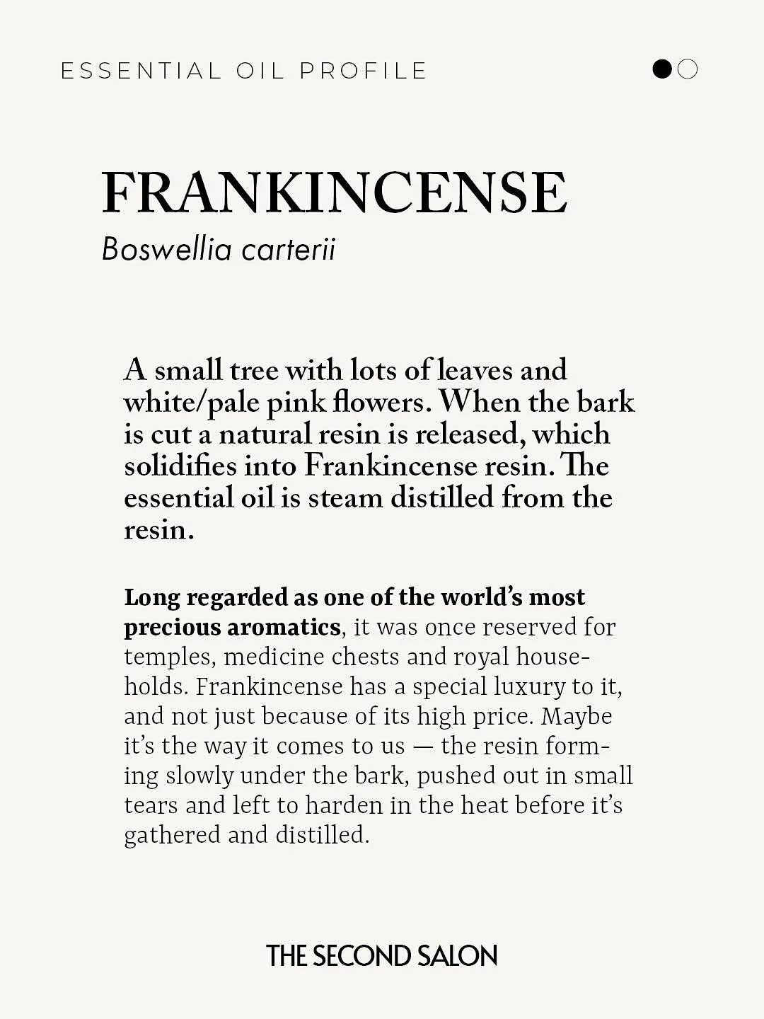 FRANKINCENSE essential oil is so special. It comes from a small tree with lots of leaves and white/pale pink flowers. When the bark is cut a natural resin is released, which solidifies into Frankincense resin. The essential oil is steam distilled fro