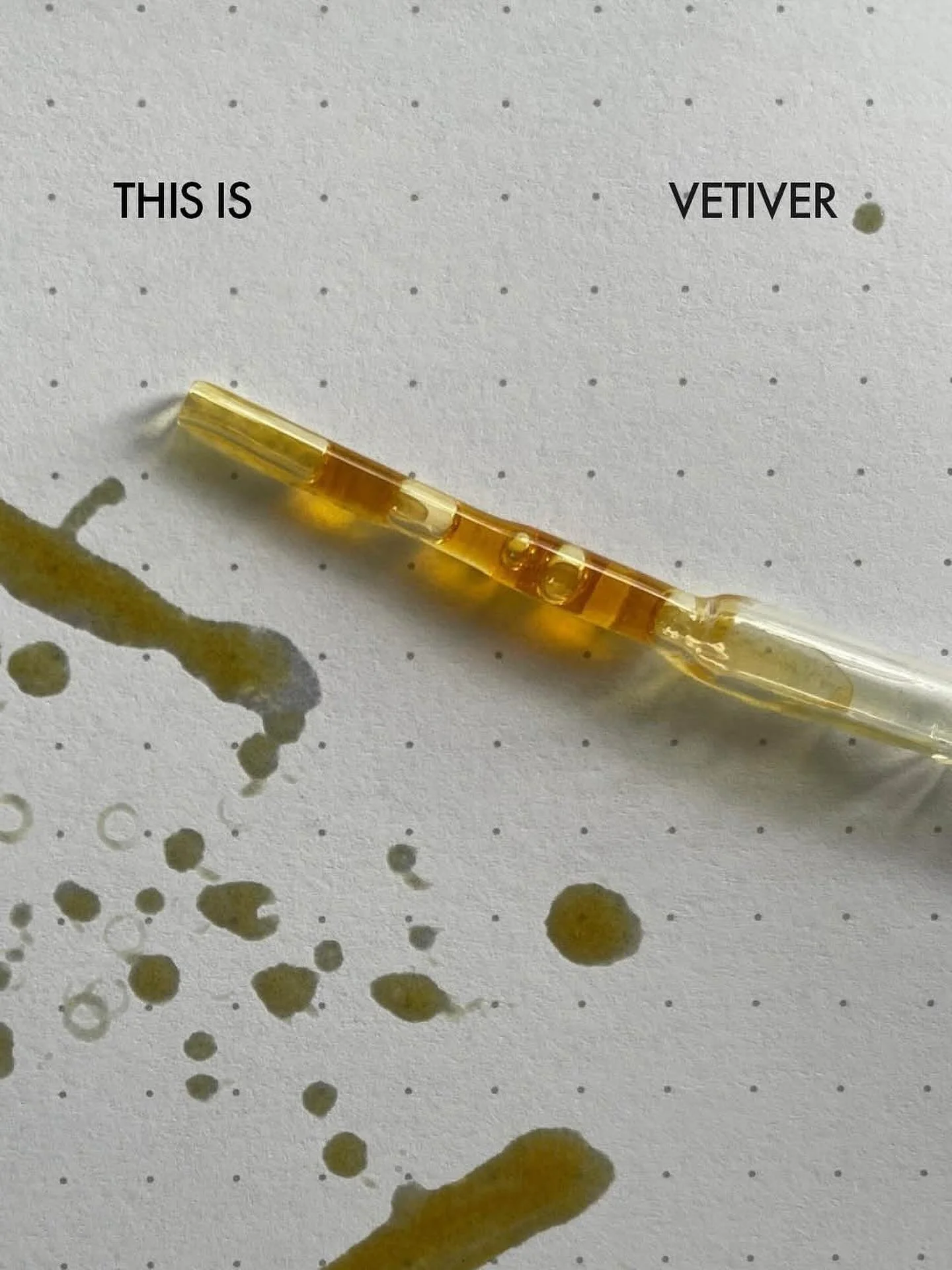 This is Vetiver.
 
I&rsquo;m working with it for an upcoming project. It&rsquo;s thick and gooey and viscous, representative of the deep root system it comes from. I could hardly squeeze it out of the dripolator; I had a wait for it to warm up. Every