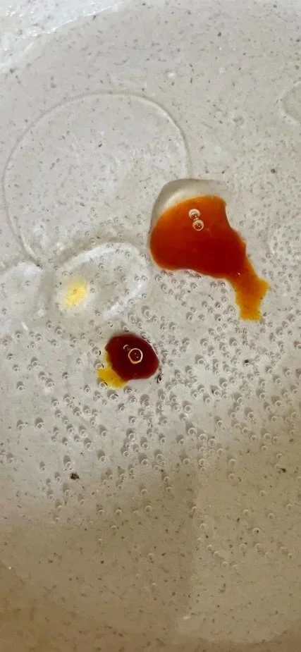oils.jpg