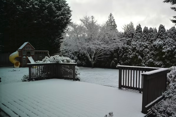 Winter Backyard Updates for Comfort and Function