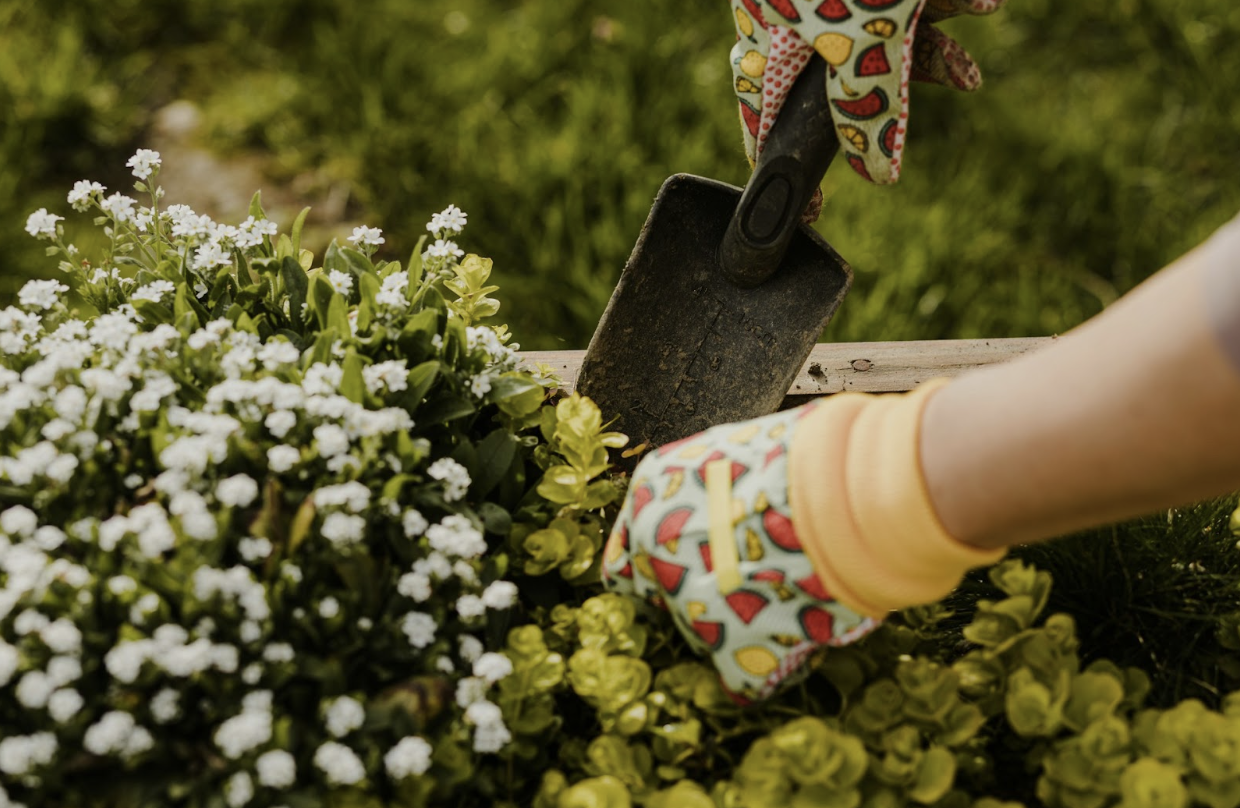 Spring Refresh Ideas for Outdoor Living Spaces
