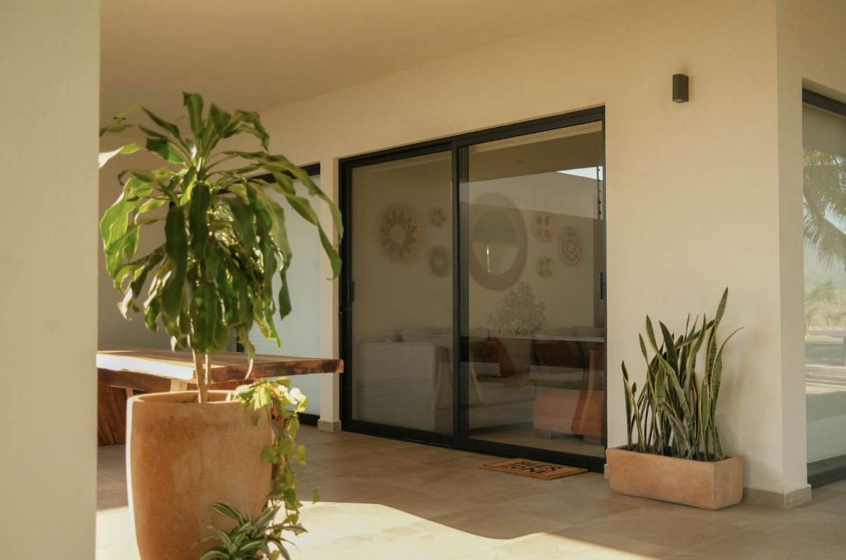 The Best Plants for Outdoor Living Spaces