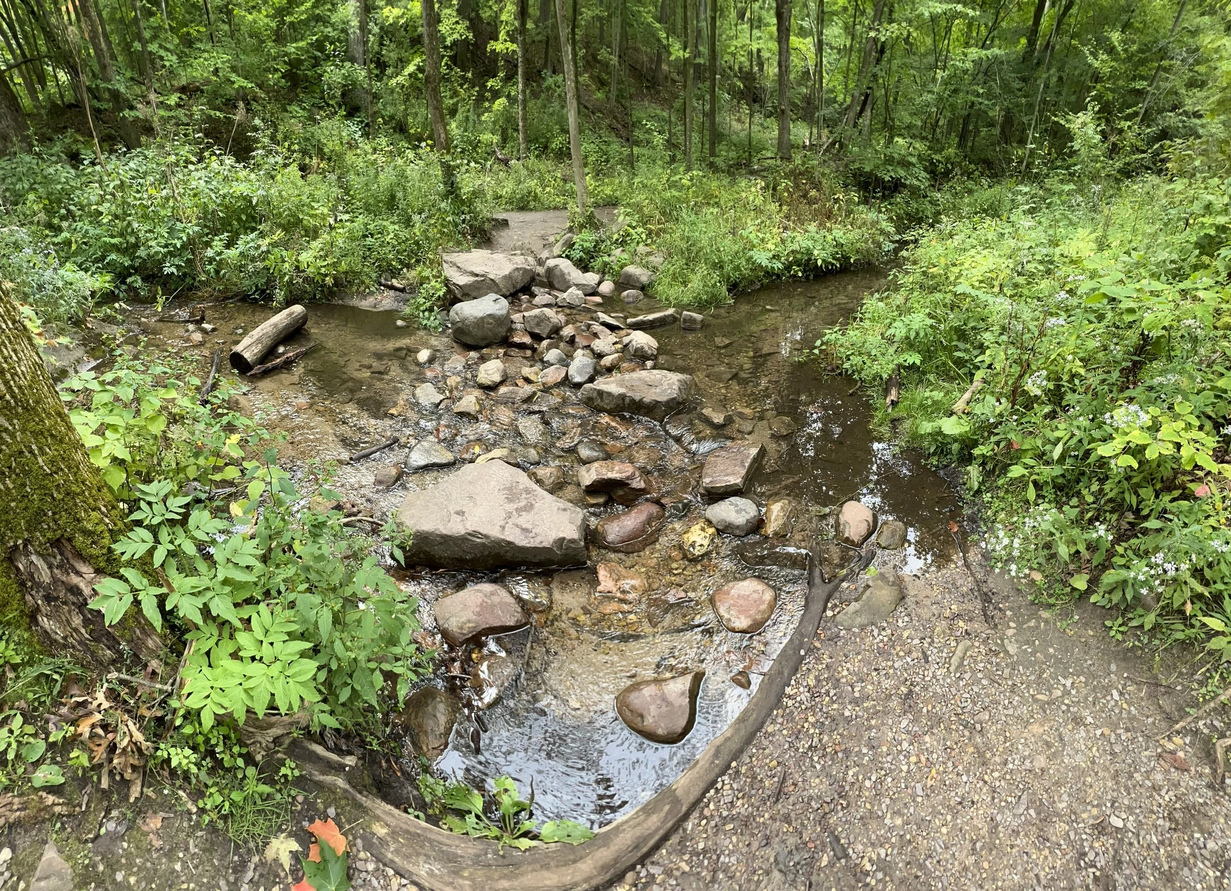Hidden Natural Gems Near Wisconsin Dells