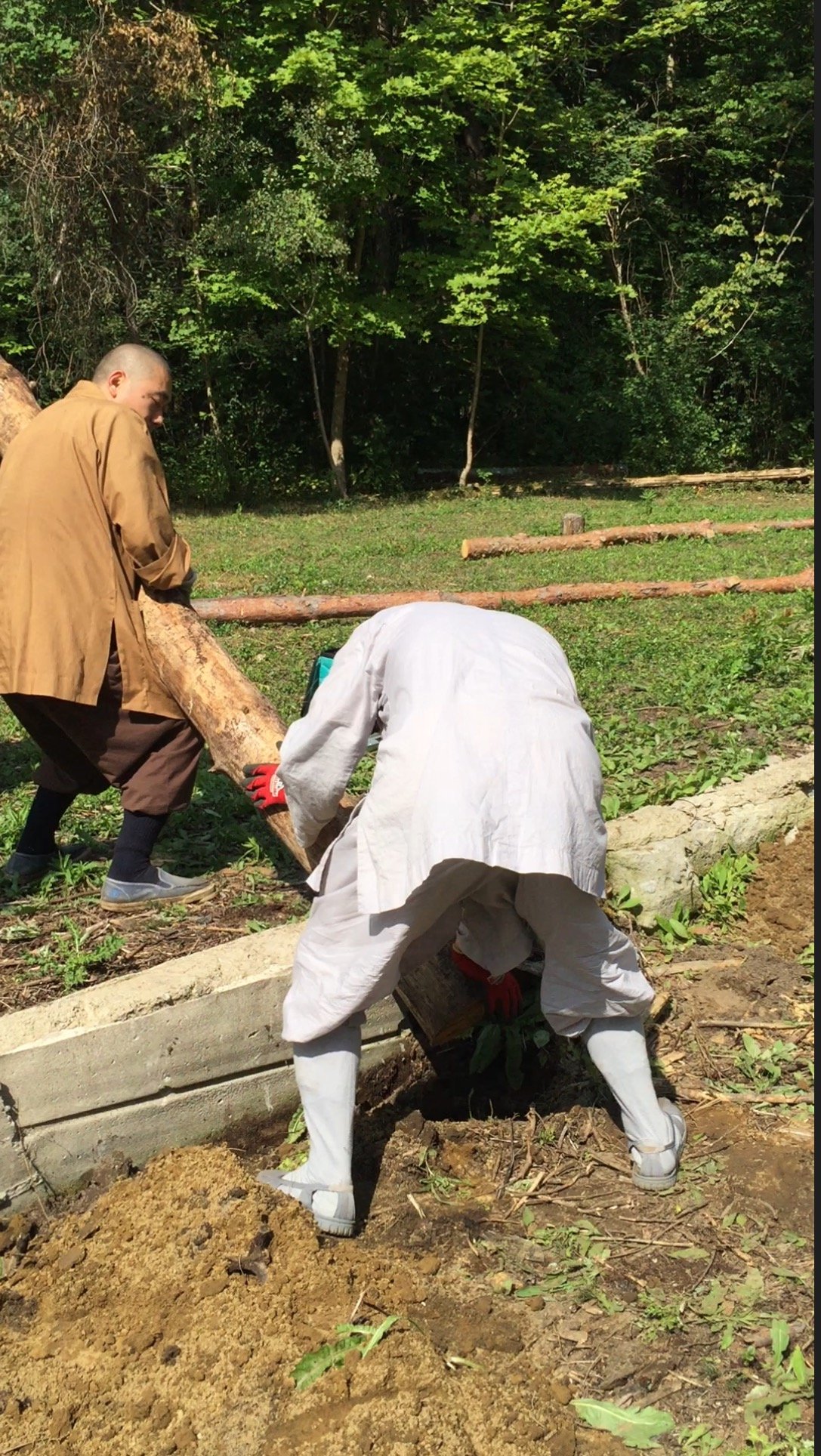 清理後院 (Cleaning the backyard)