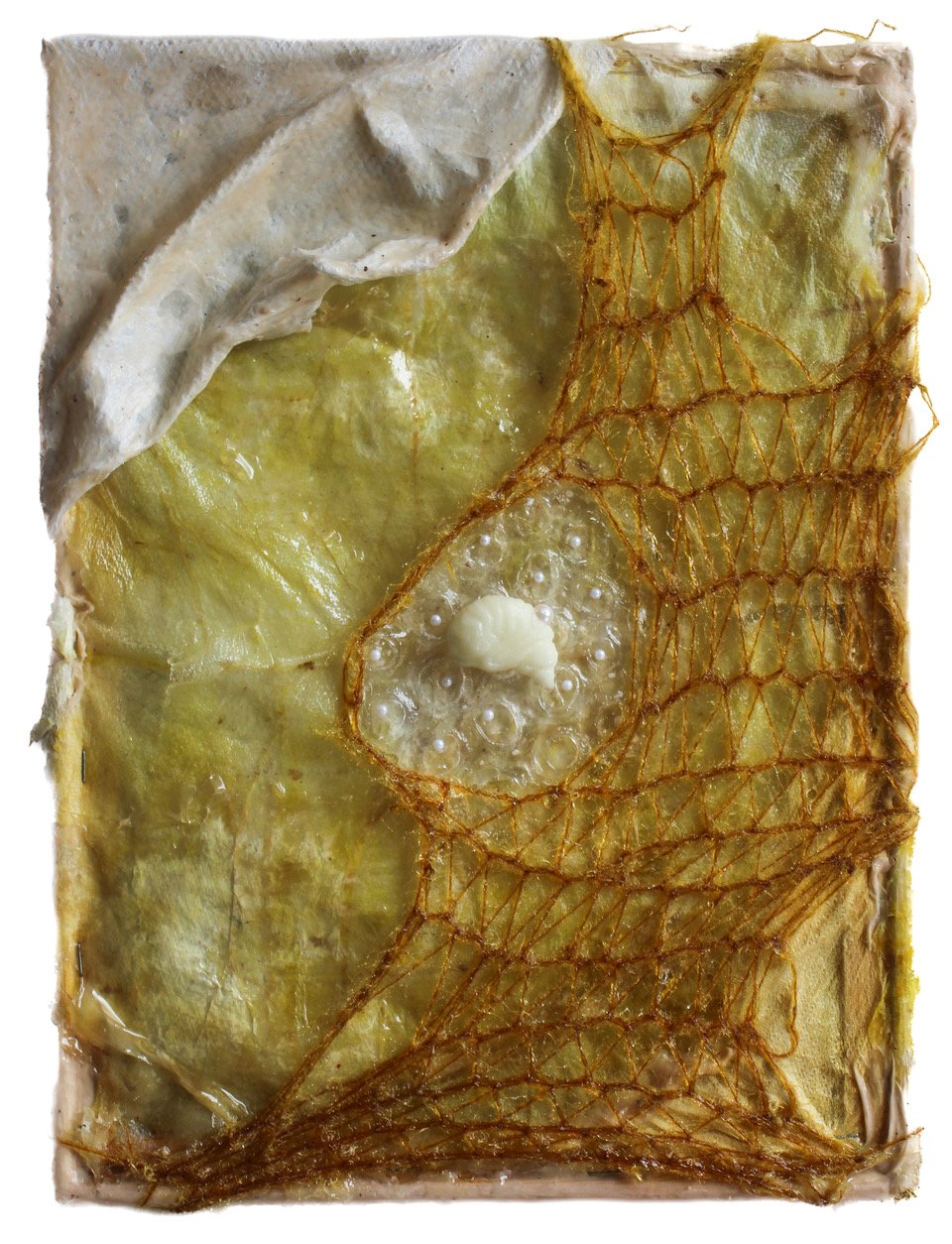 Inner Body Yellows (Mitski) 