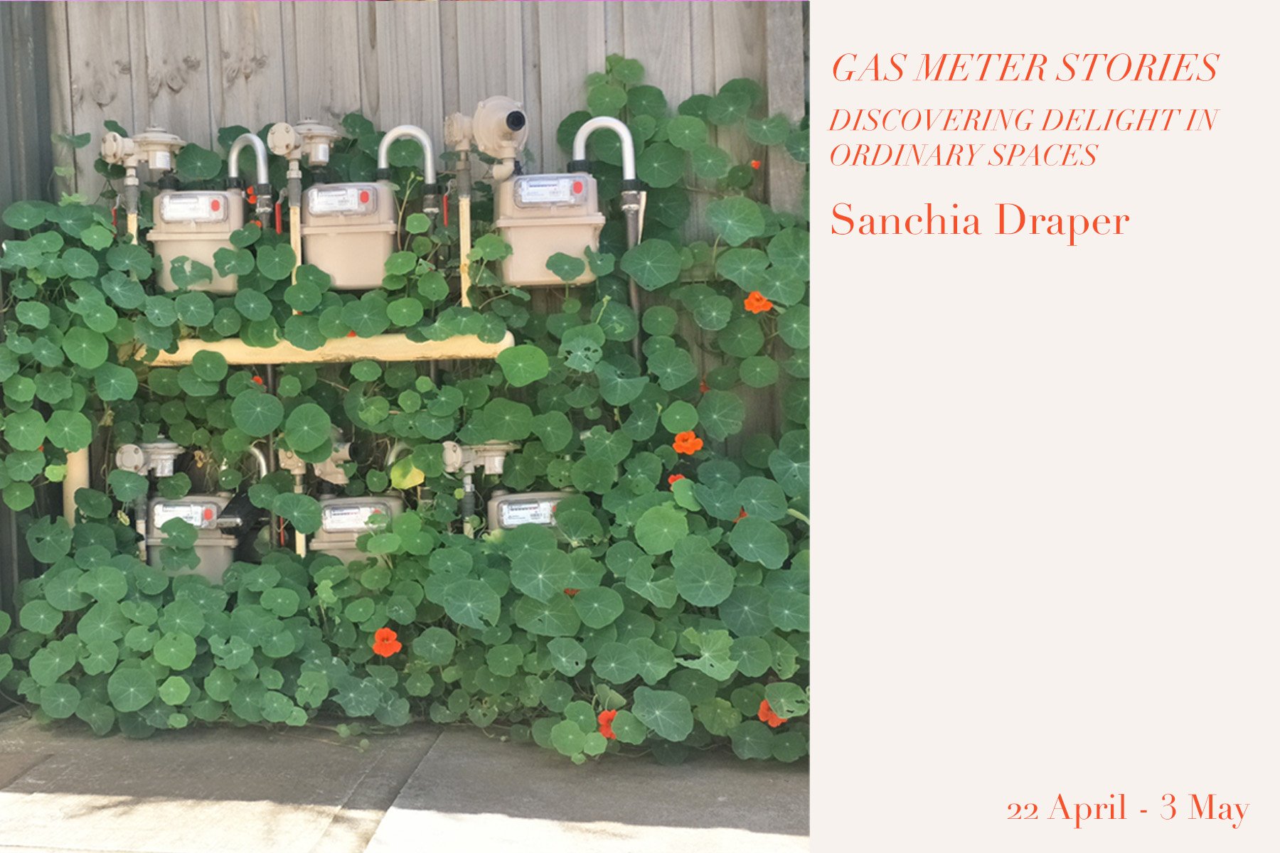 Gas Meter Stories: Discovering Delight in Ordinary Spaces by Sanchia Draper
