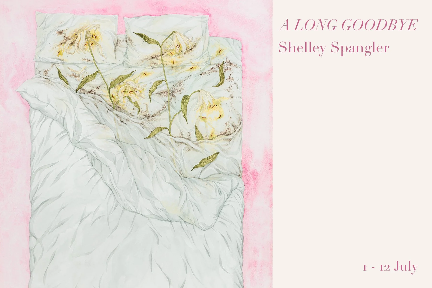 A Long Goodbye by Shelley Spangler